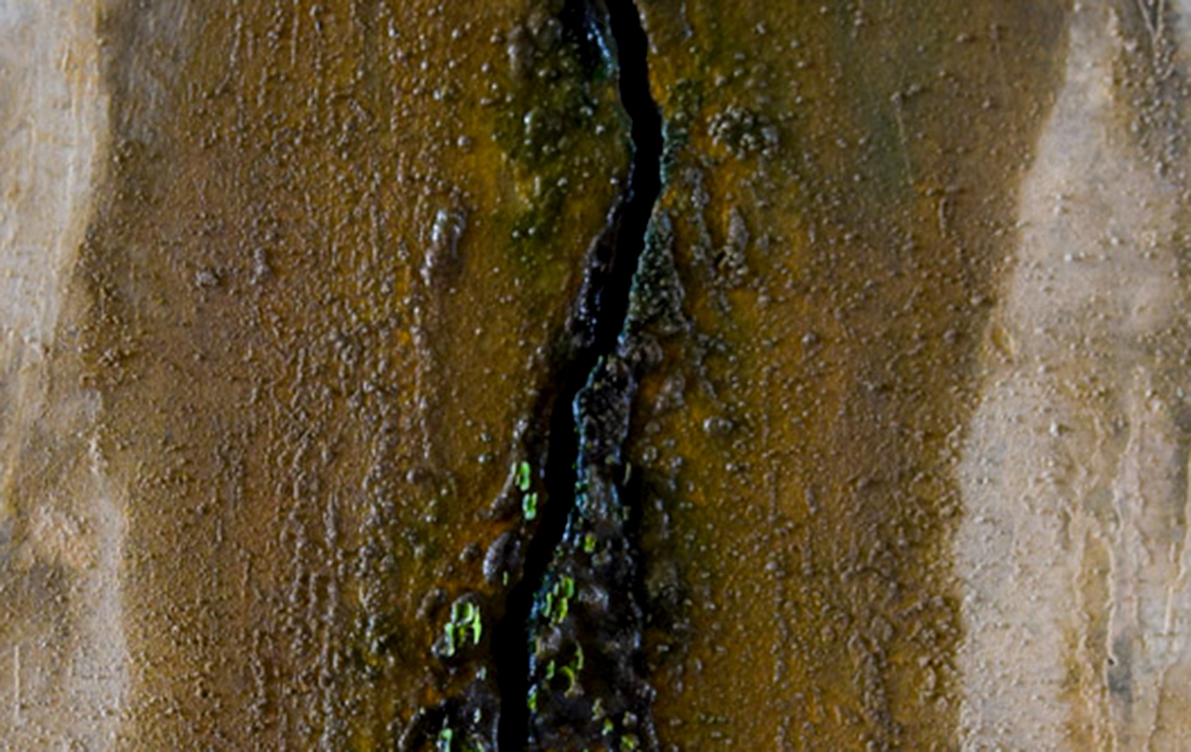 Hang loat cau tren cao toc Da Nang - Quang Ngai bi nut, tham dot hinh anh