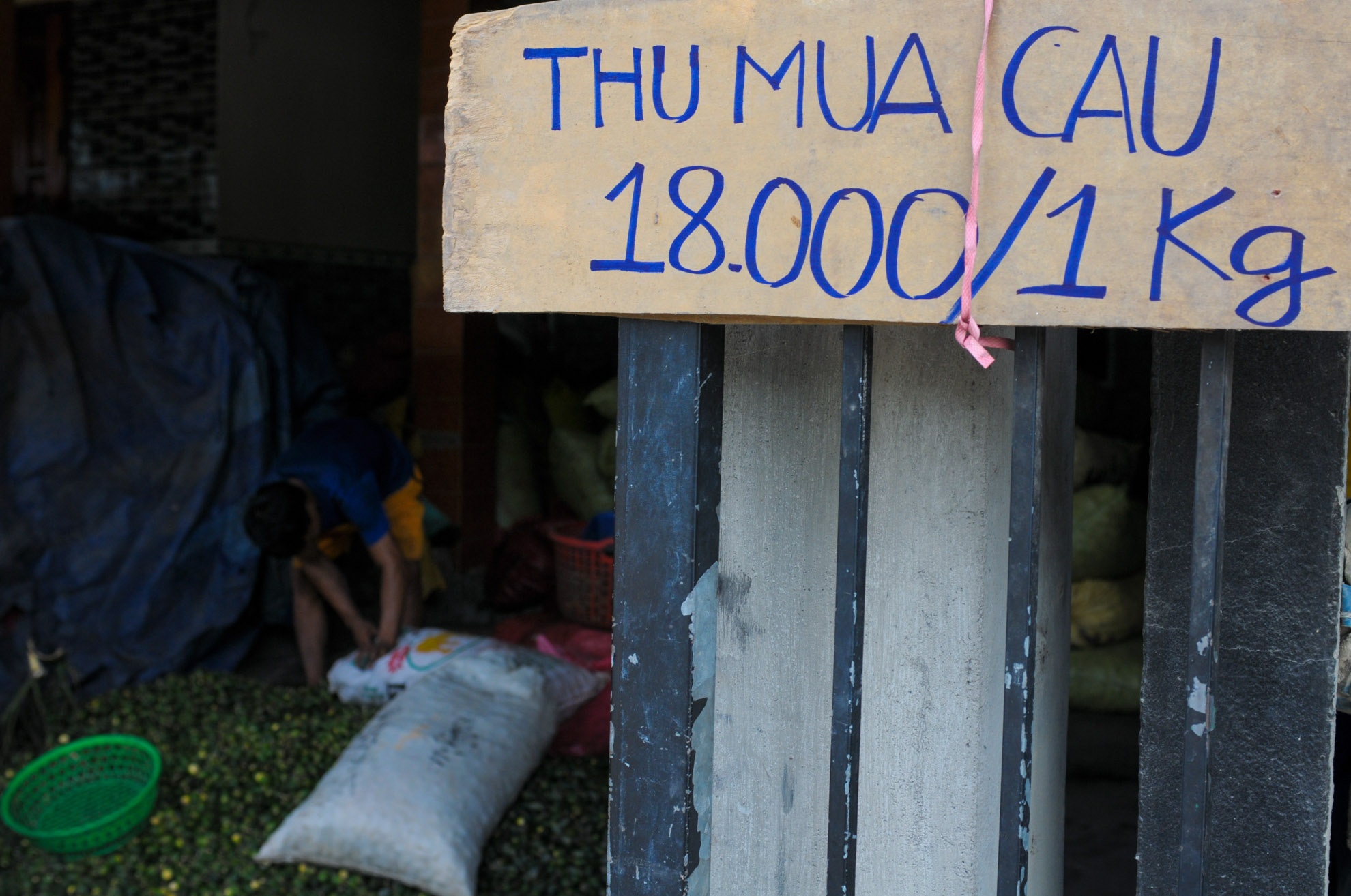 Vuong quoc ngan cau Son Tay anh 10