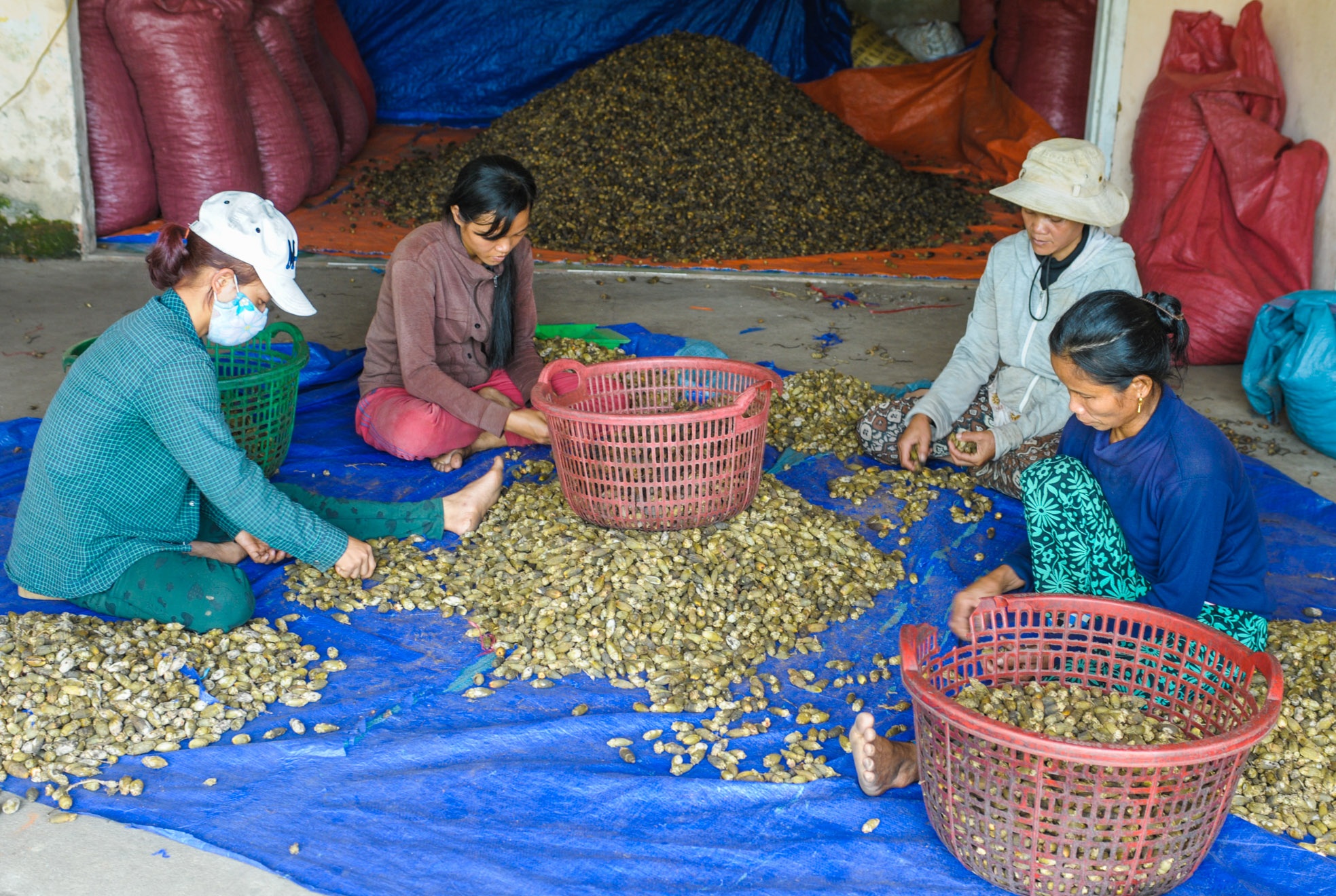 Vuong quoc ngan cau Son Tay anh 13