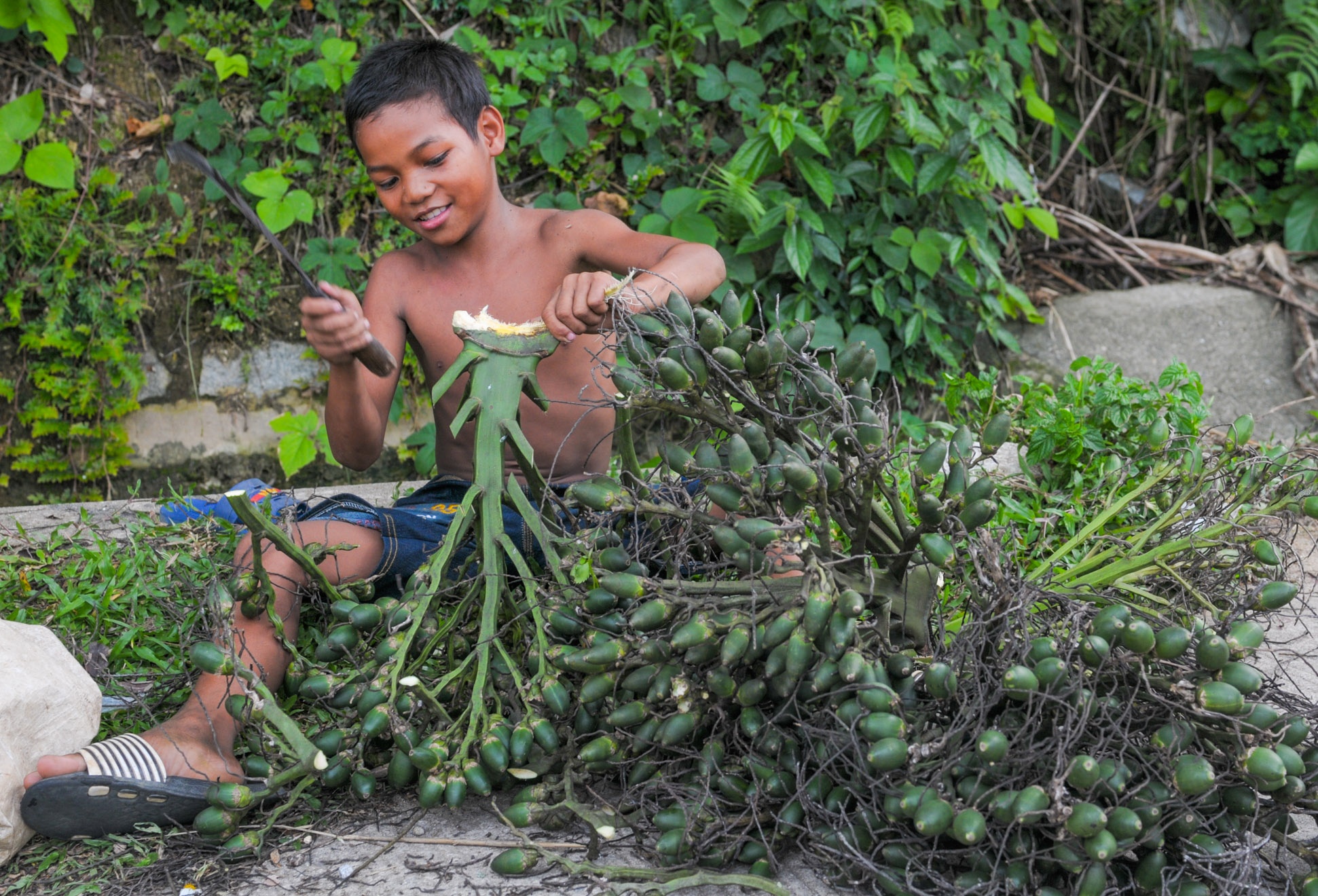 'Xu so ngan cau' mang lai tien ty o mien Trung hinh anh