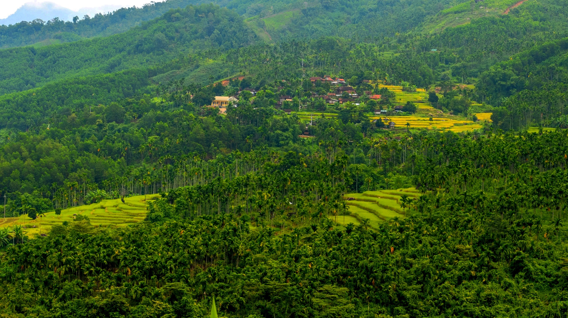Vuong quoc ngan cau Son Tay anh 3