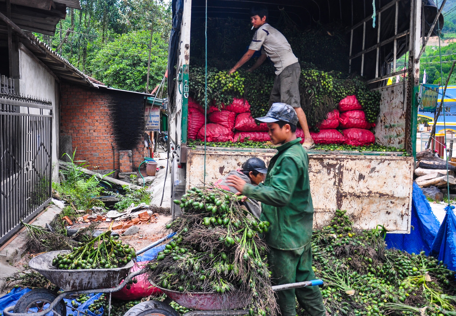 Vuong quoc ngan cau Son Tay anh 9