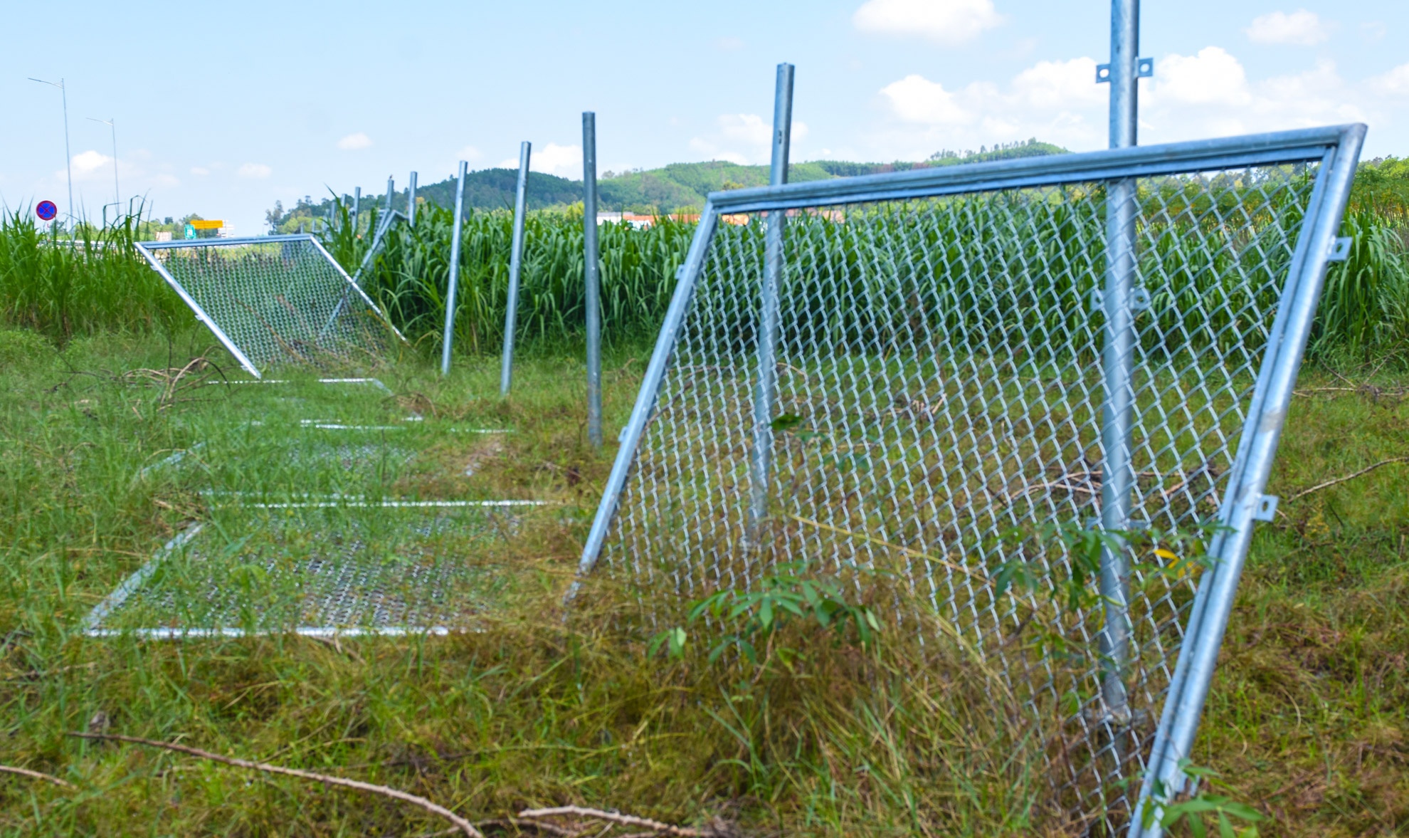 Cao toc Da Nang- Quang Ngai anh 4