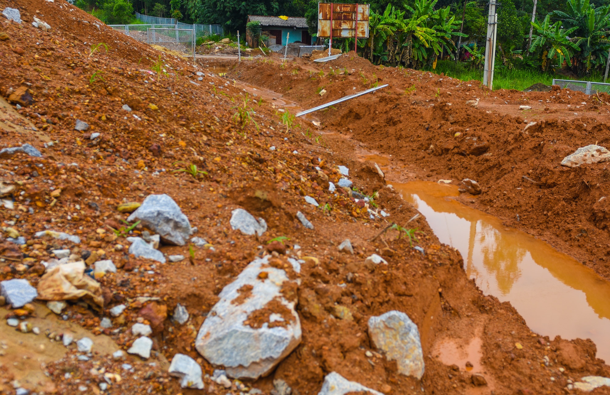 Cao toc Da Nang- Quang Ngai anh 19