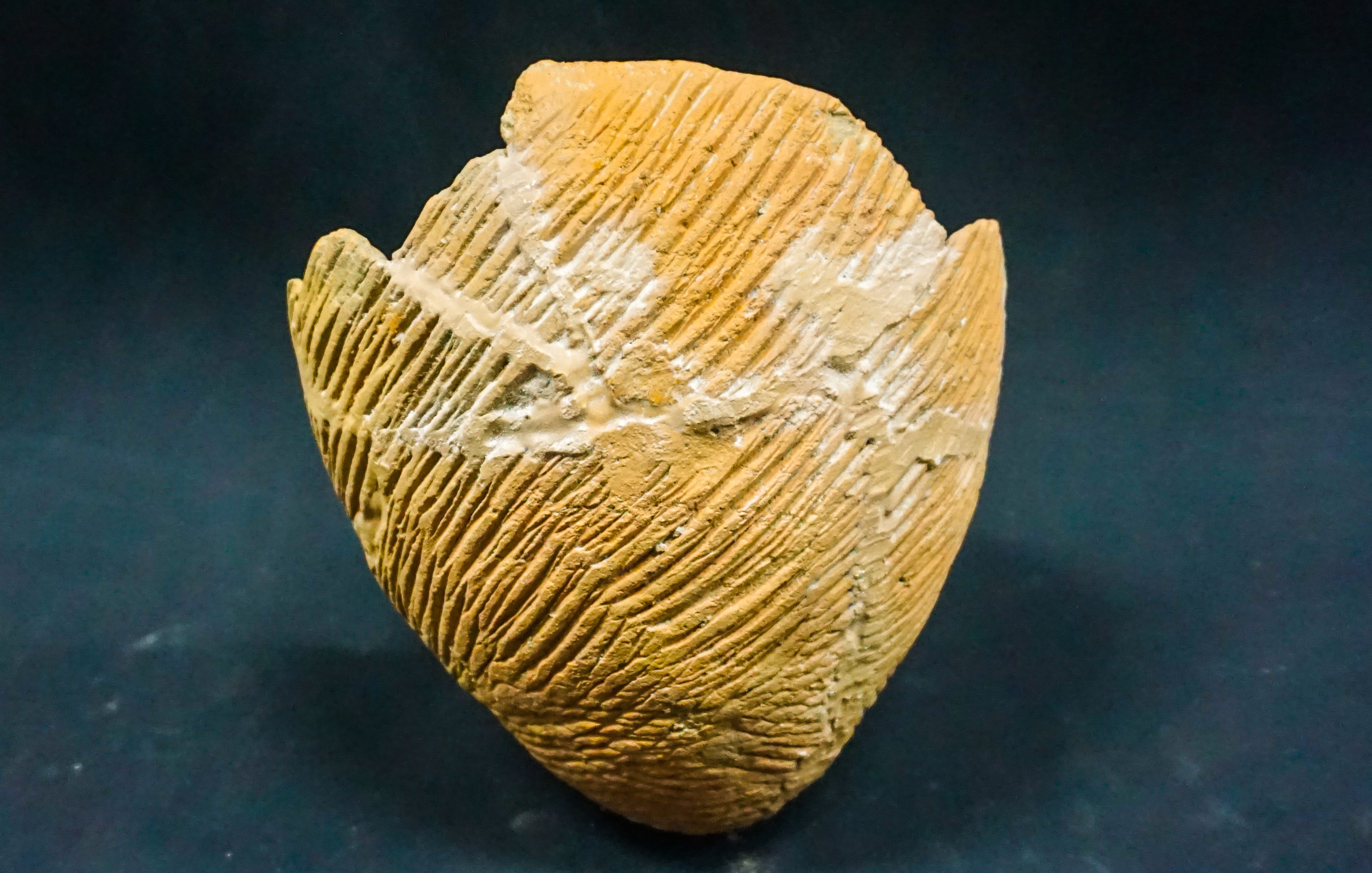 Van hoa Sa Huynh o Ly Son anh 7