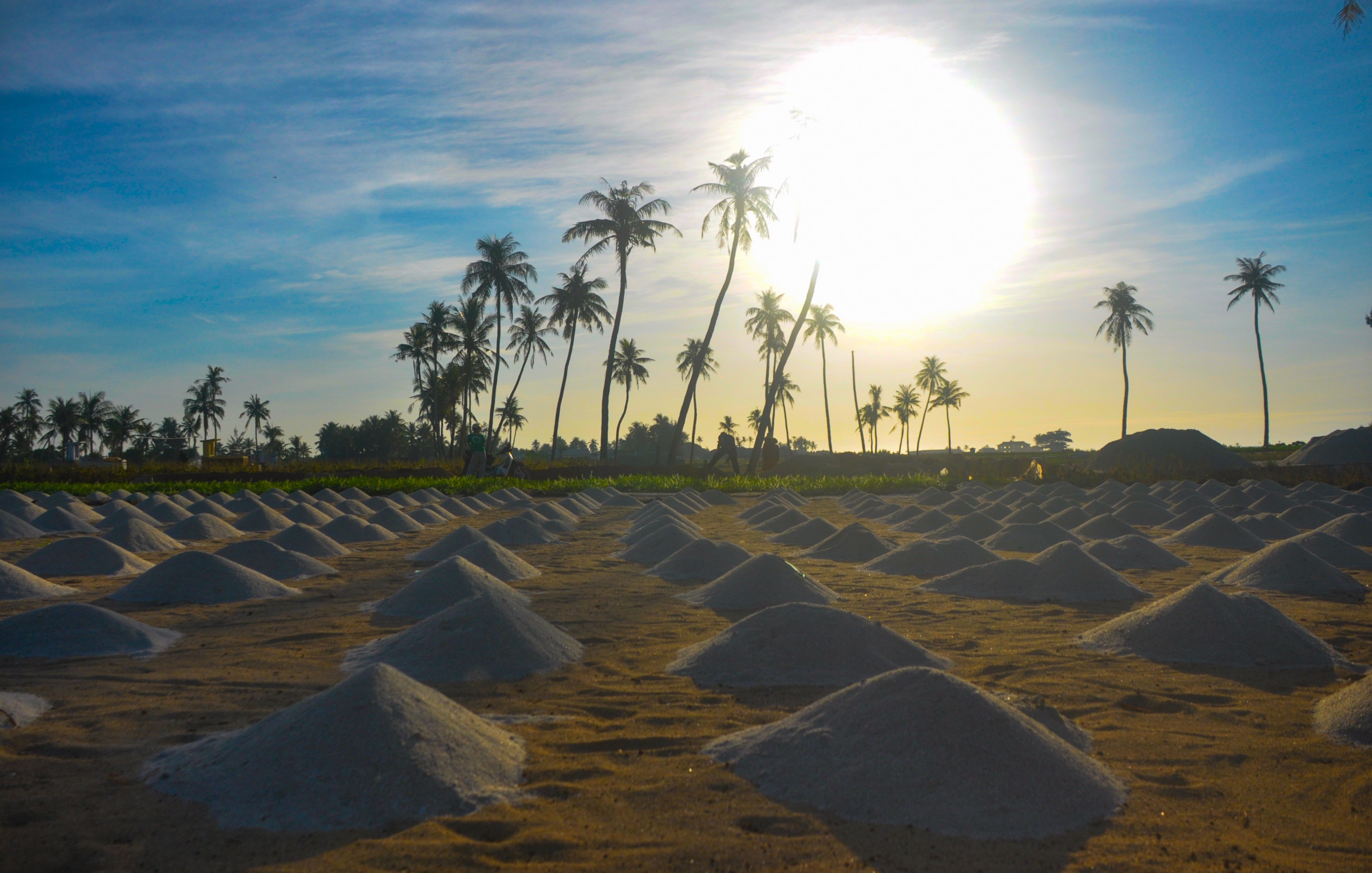 Van hoa Sa Huynh o Ly Son anh 3