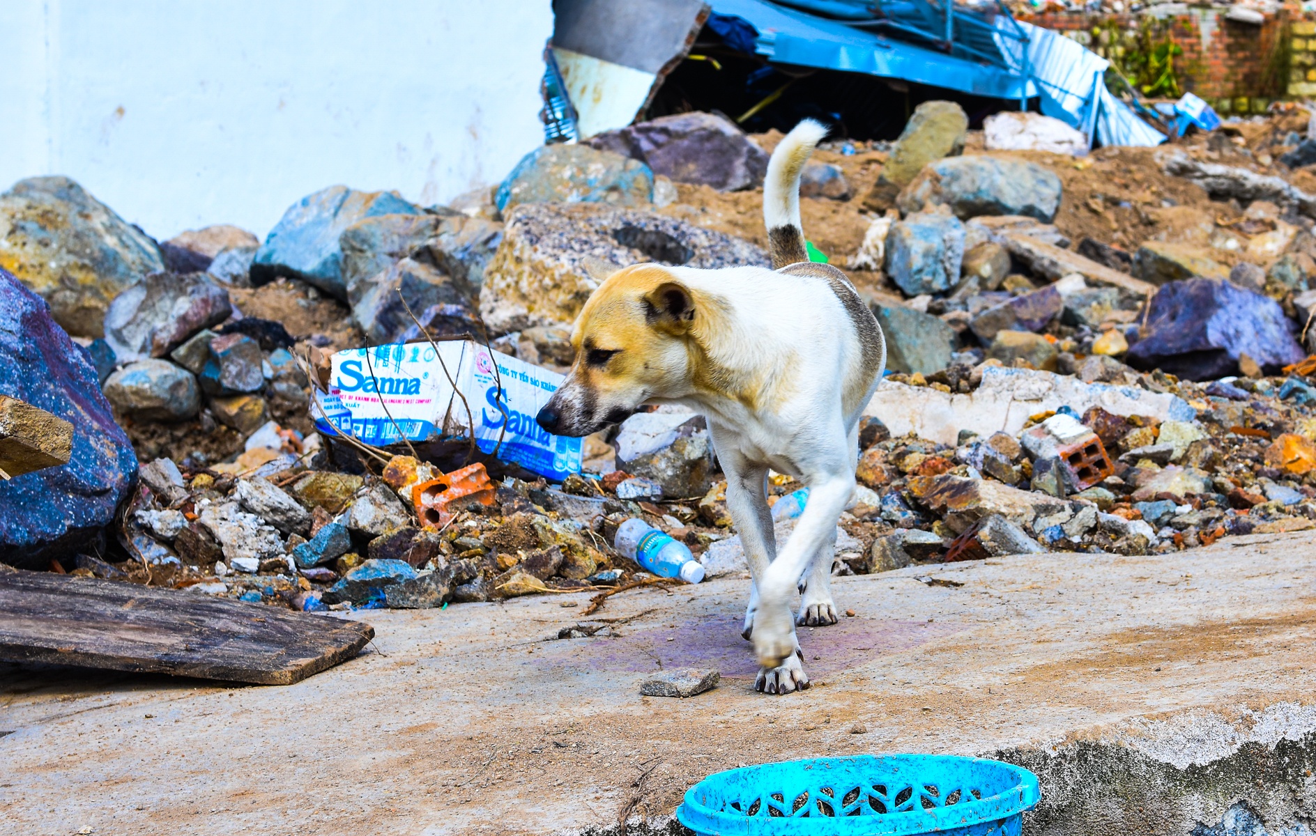 Ho nhan tao vo Nha Trang anh 12