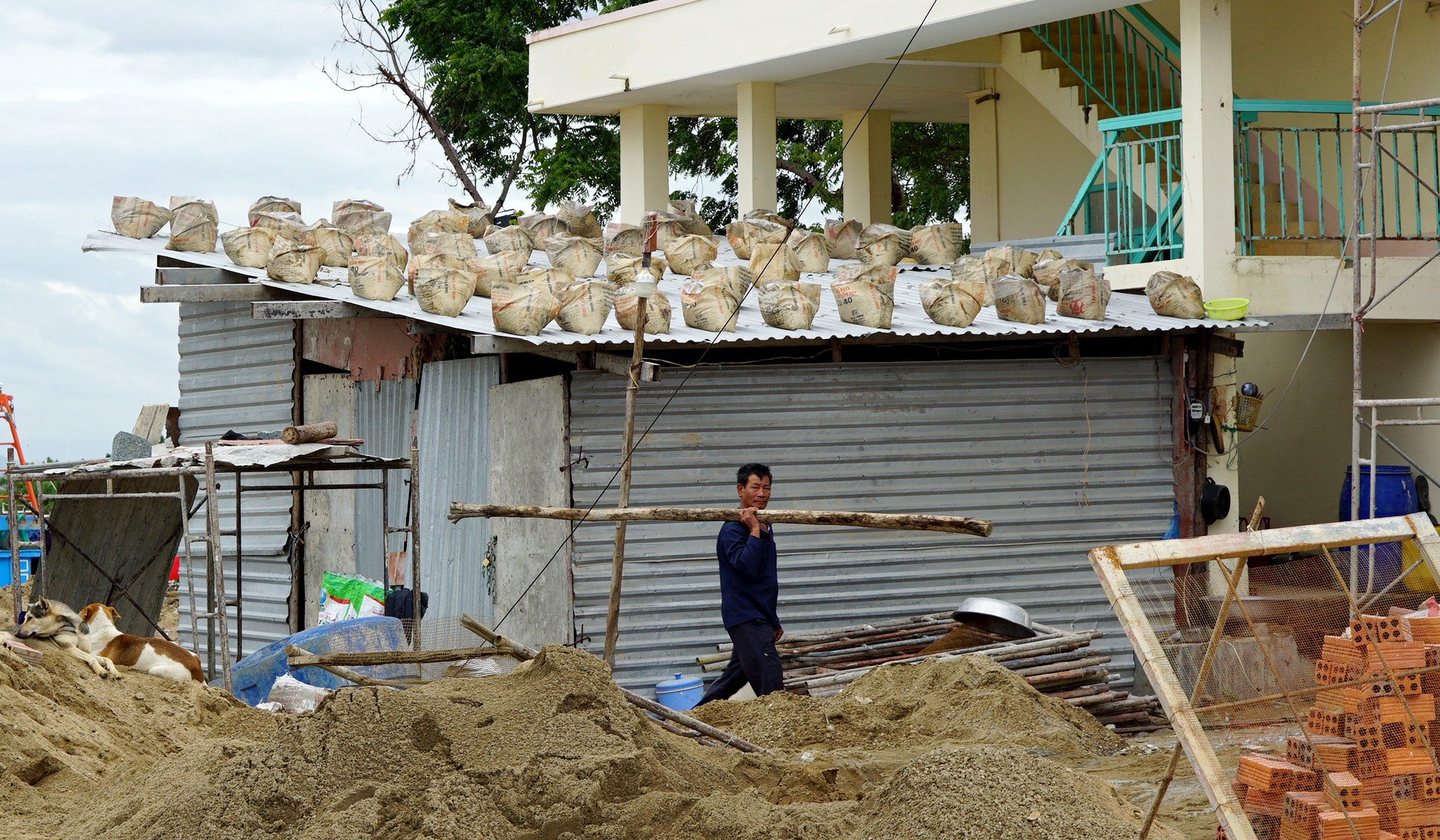 Dan Nha Trang chay tranh bao anh 16