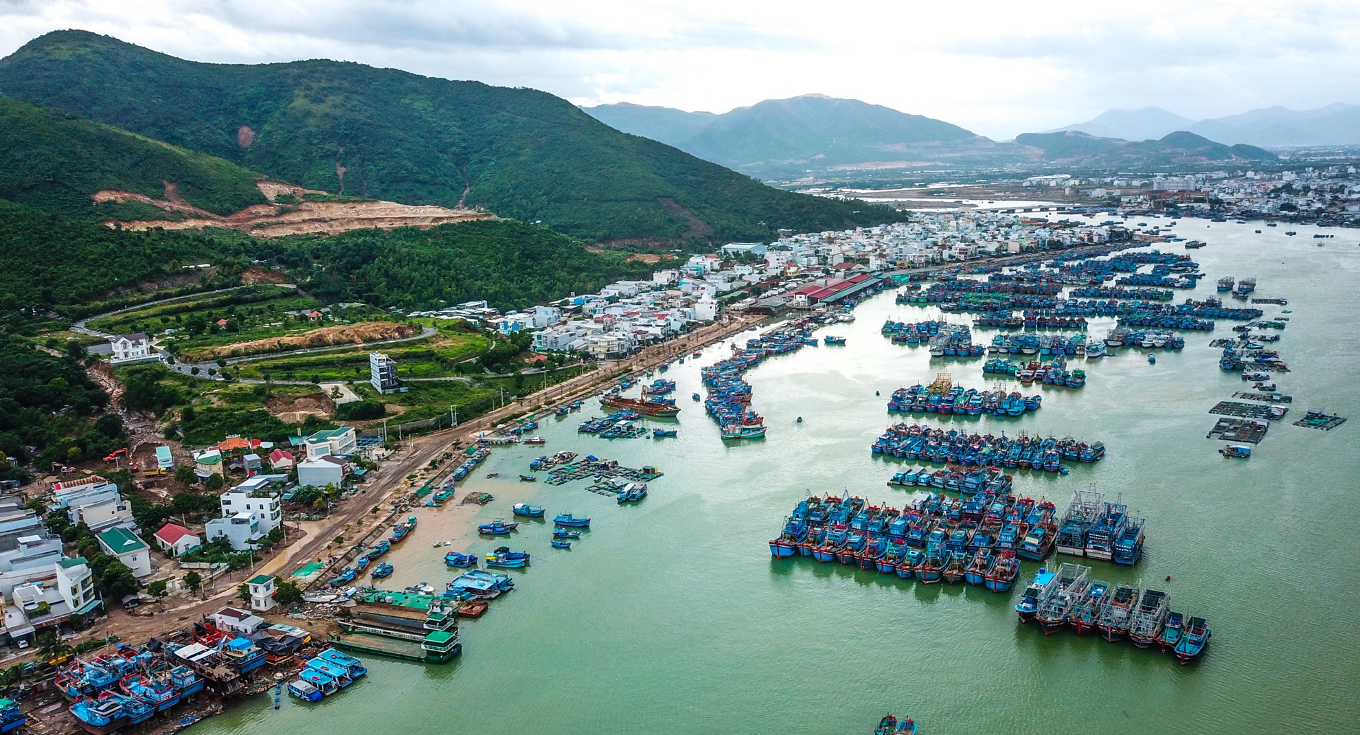 So hai duoi chan nui lo anh 1