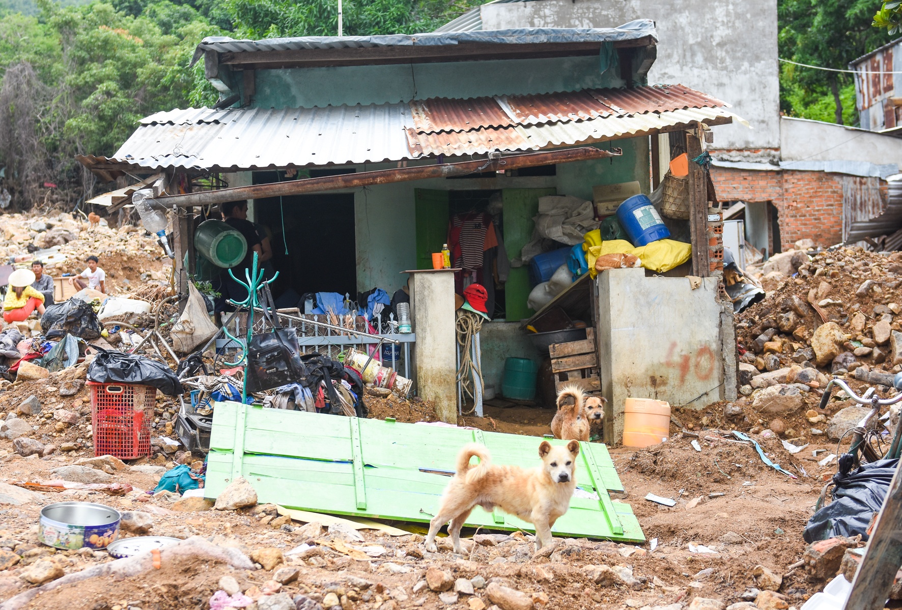 So hai duoi chan nui lo anh 3