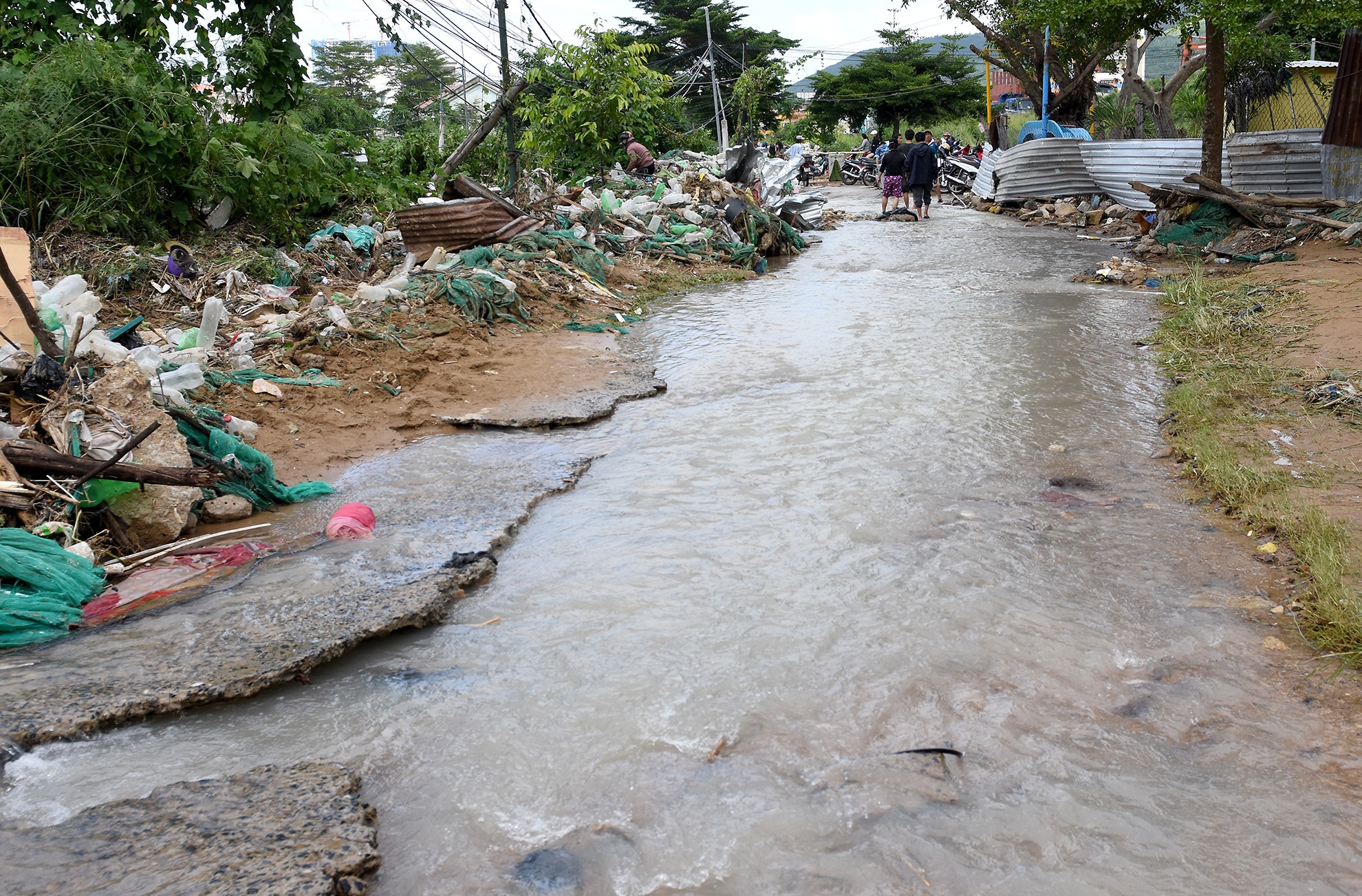 So hai duoi chan nui lo anh 9