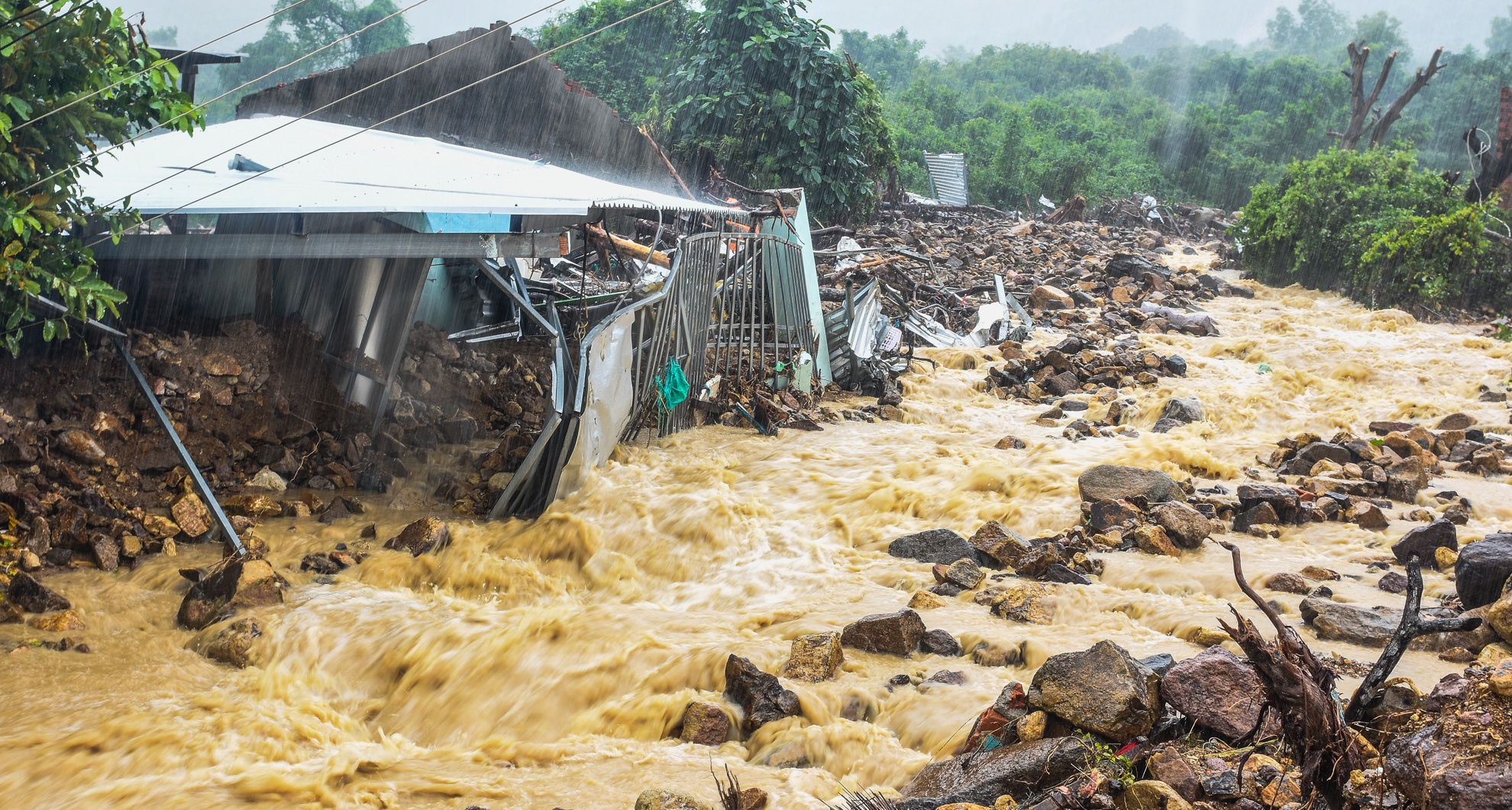 So hai duoi chan nui lo anh 4