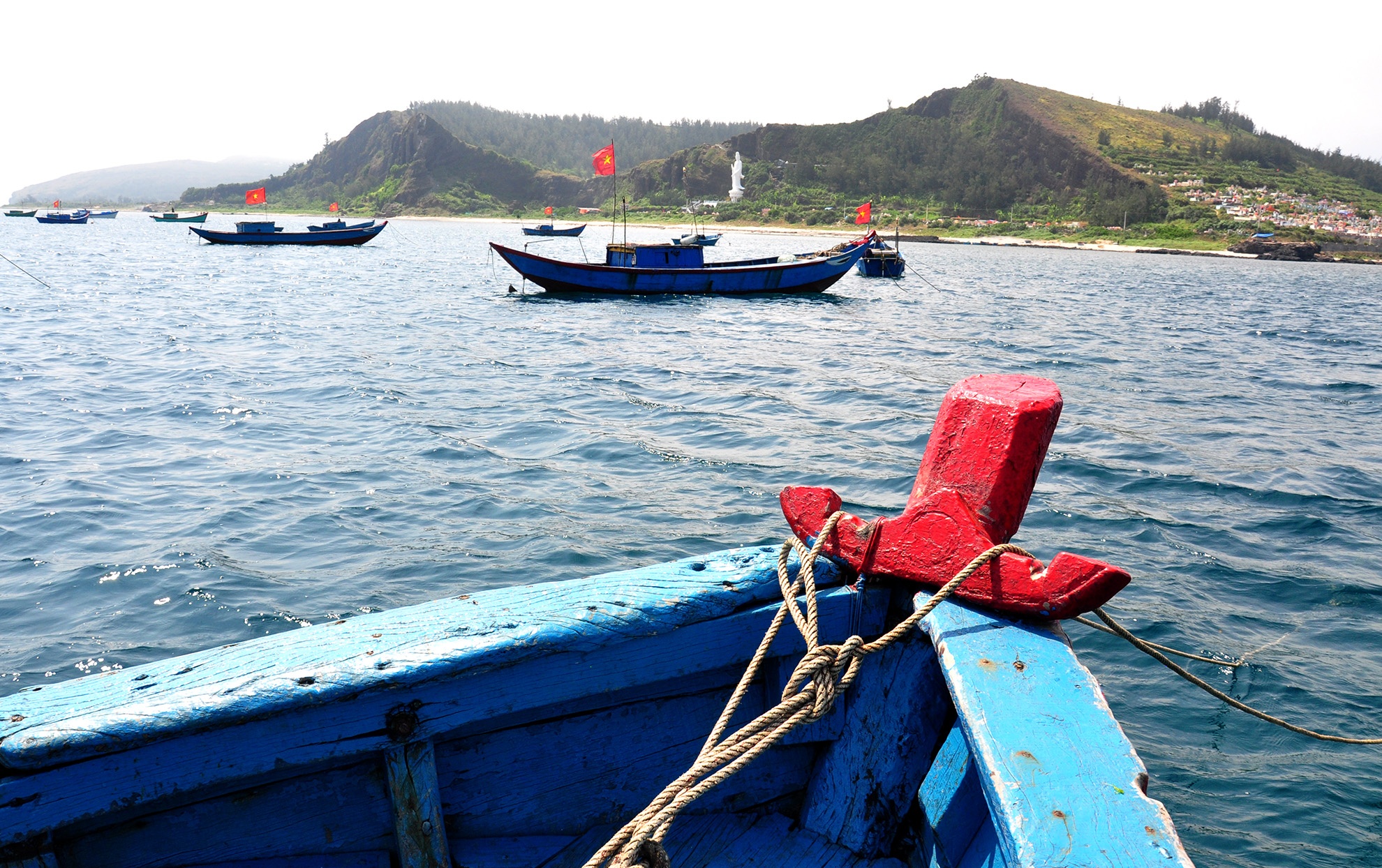 Lan bat oc o dao Ly Son, mot ngu dan tu nan hinh anh