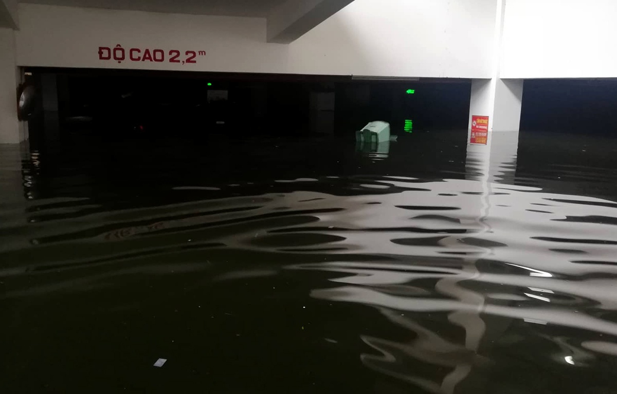 Mua lon Da Nang ngap sau anh 1