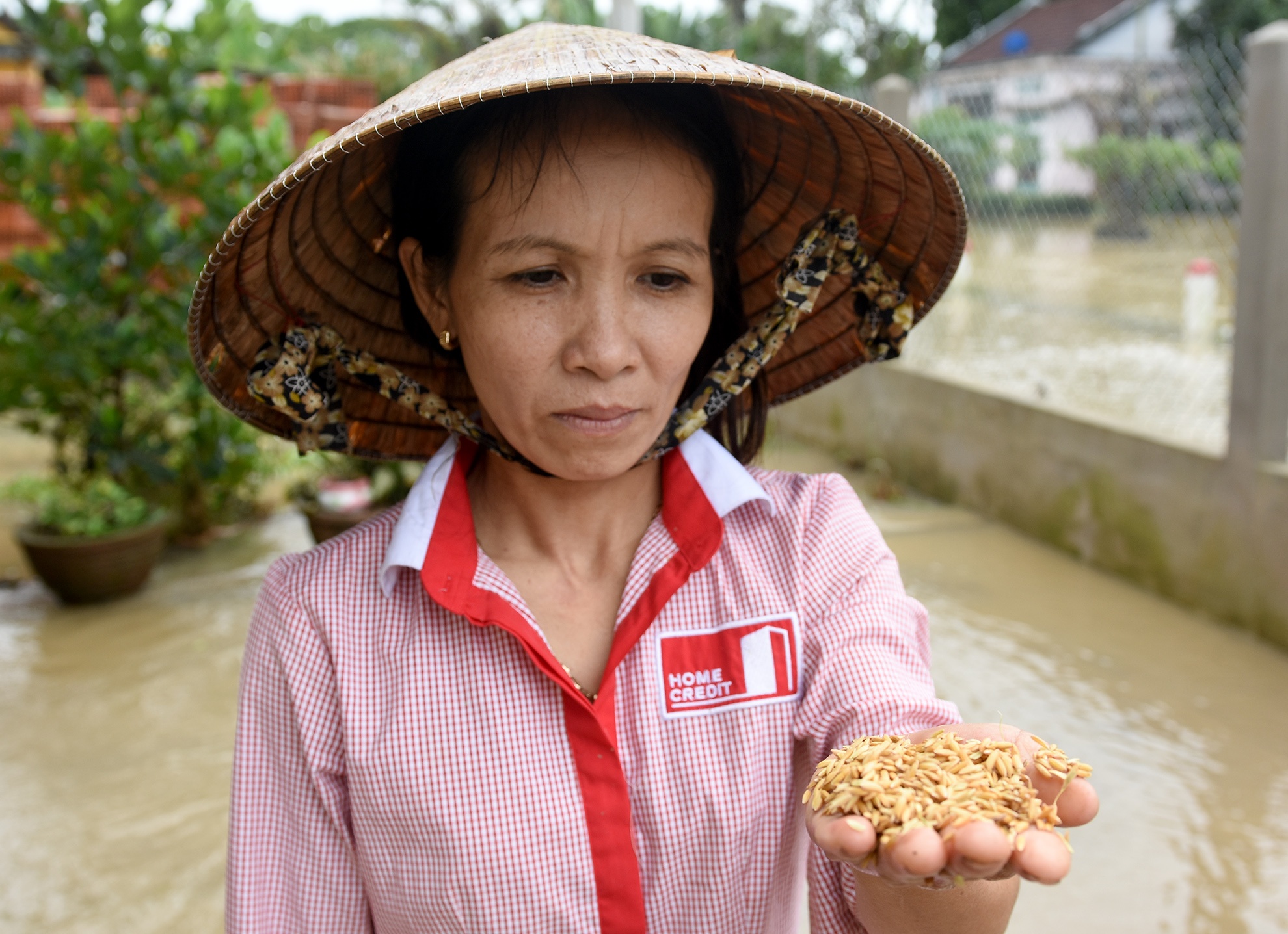 Mua lu lon o Quang Ngai anh 5