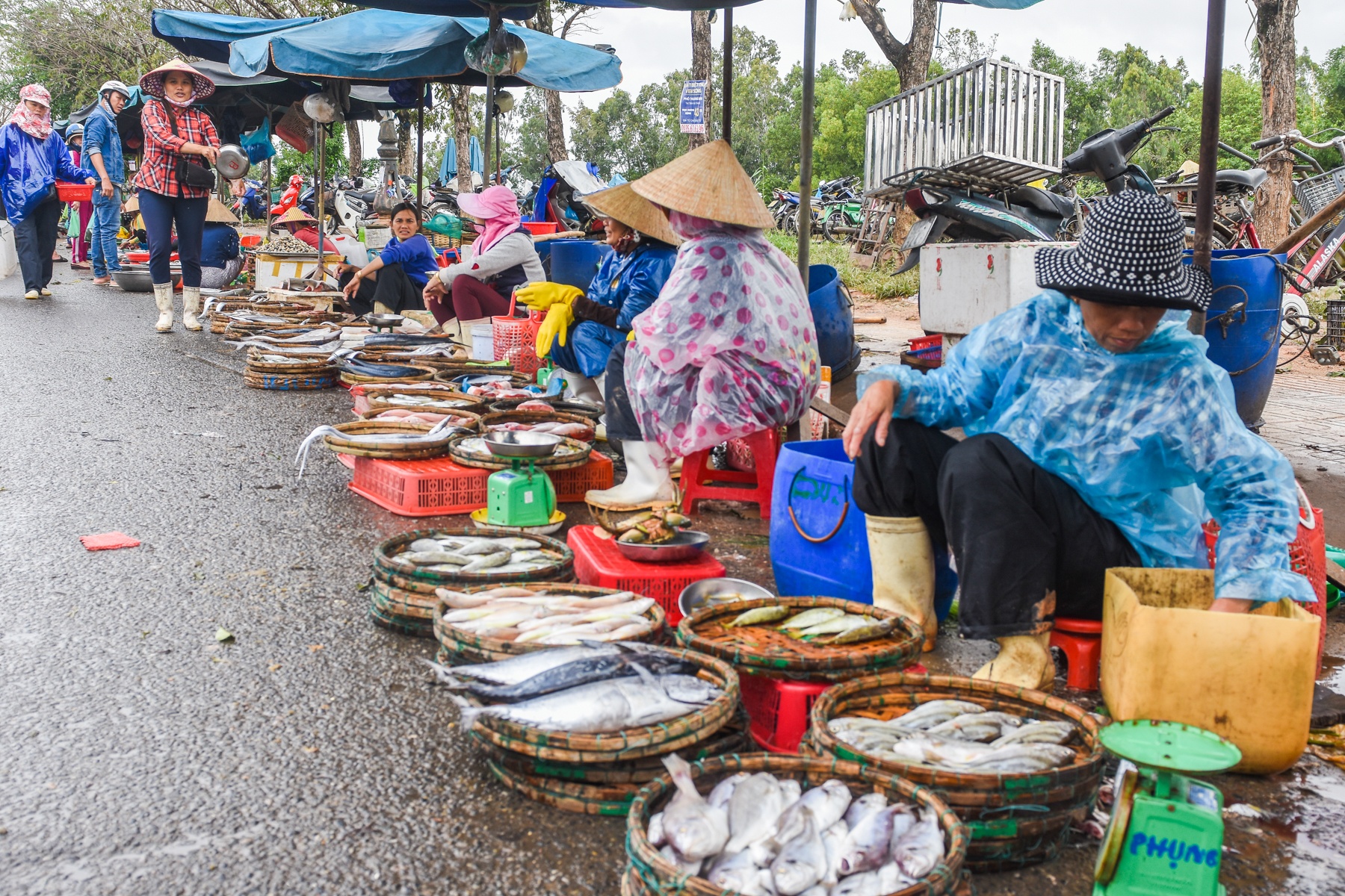Tieu thuong Tam Ky khon kho anh 12