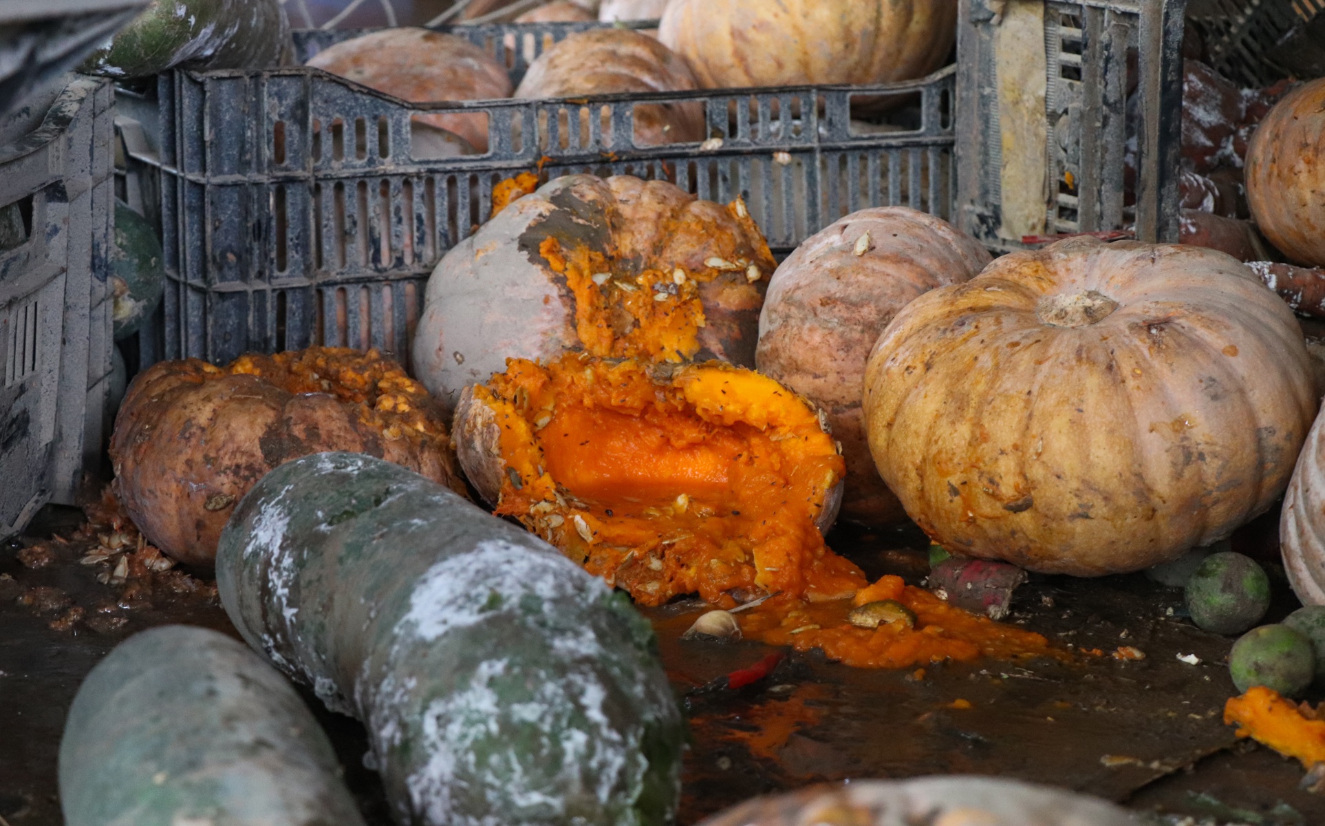 Tieu thuong Tam Ky khon kho anh 8