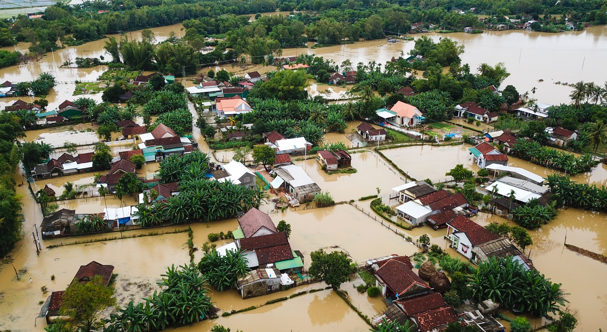 Sa chan vao 'ho tu than' sau lu, mot phu nu thiet mang hinh anh