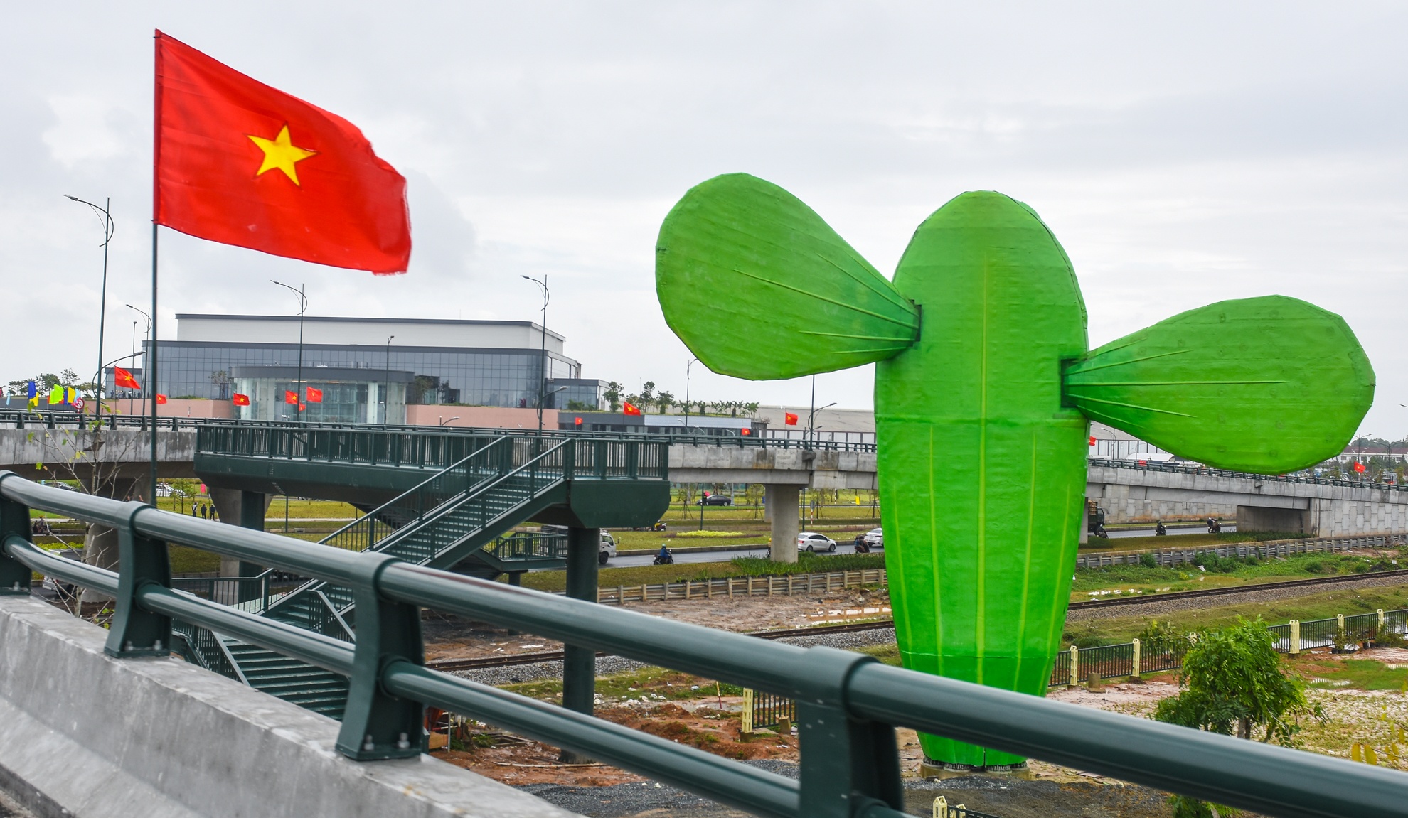 Cau vuot hoa xuong rong o quang anh 6