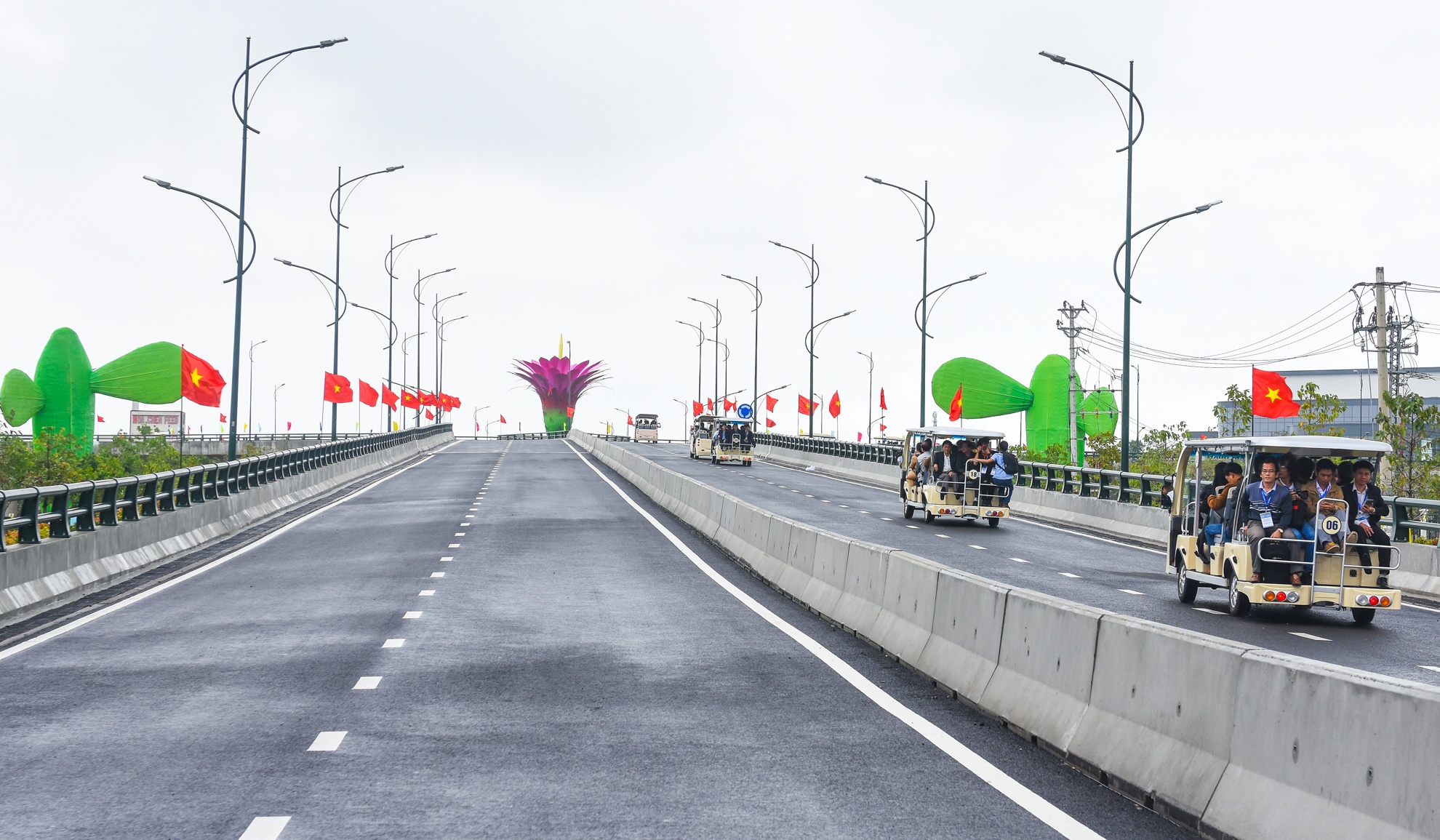 Cau vuot hoa xuong rong o quang anh 2