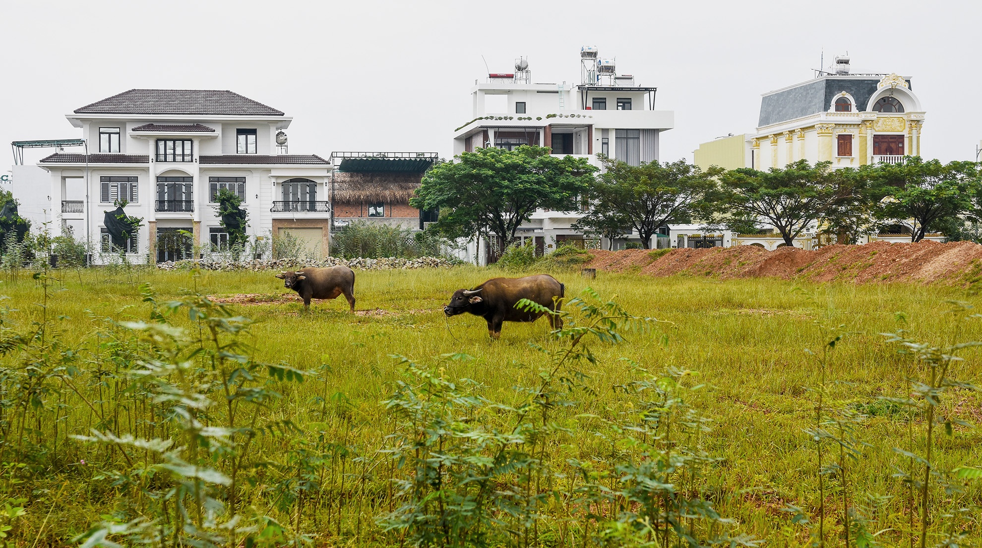 Tran lan bat dong san anh 3