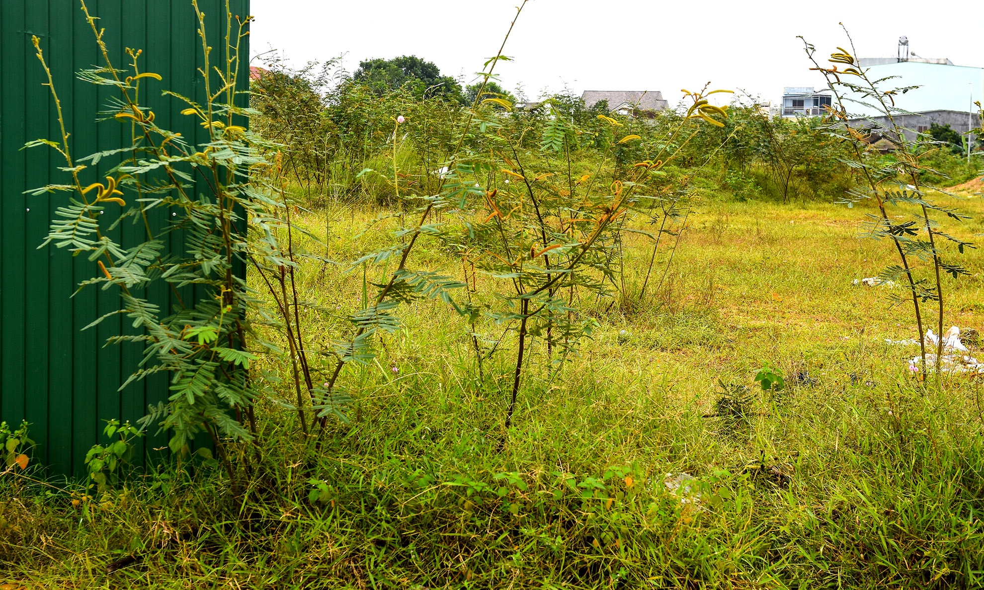 Tran lan bat dong san anh 4