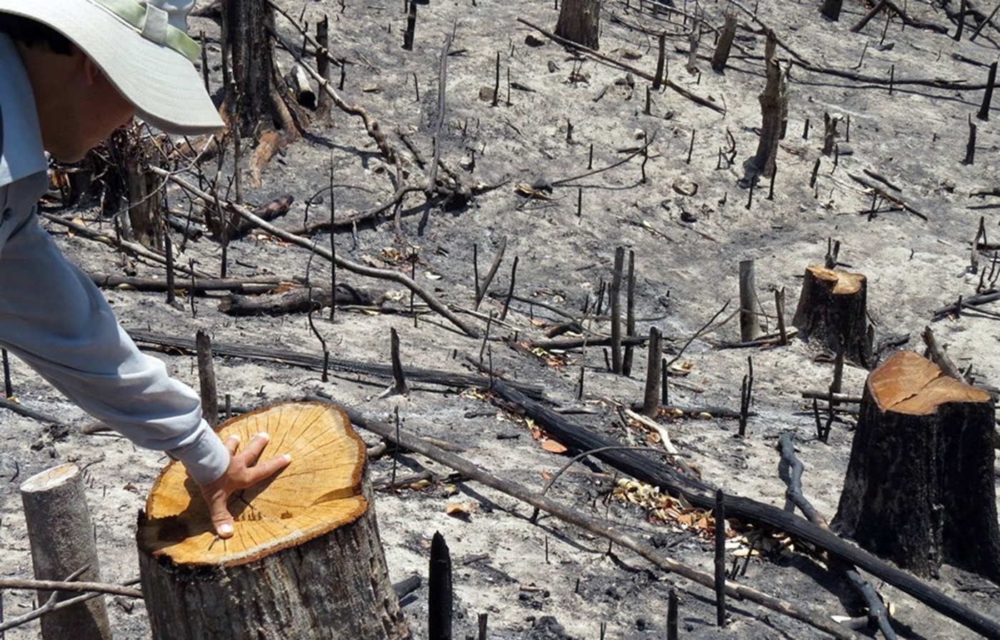 Canh cao Pho ban Dan van Quang Ngai vi bao che sai pham cua cap duoi hinh anh