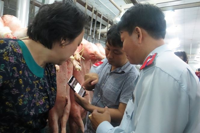 Heo benh tra tron dip Tet anh 2