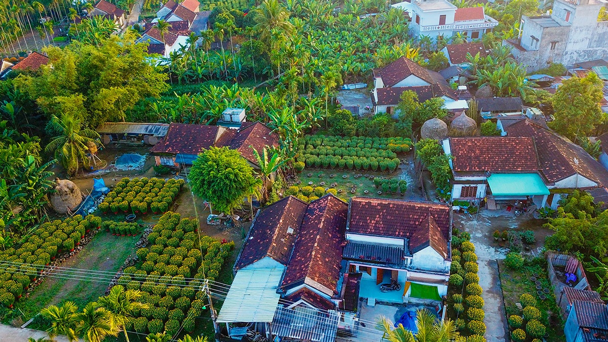 Ve thanh binh o lang hoa Tet lon nhat mien Trung hinh anh