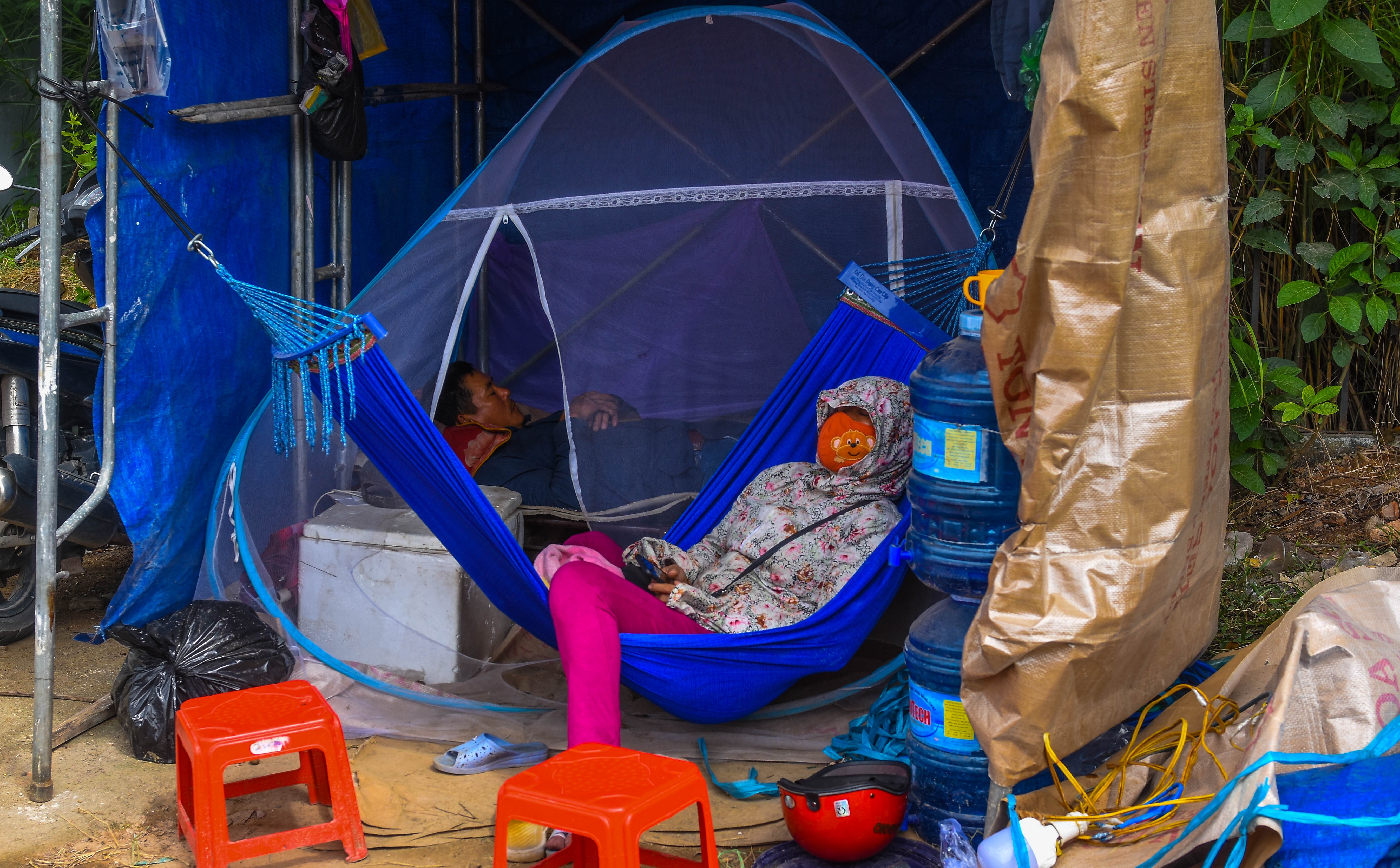 Mai no som o Binh Dinh,  tet ky hoi,  hoa tet anh 11