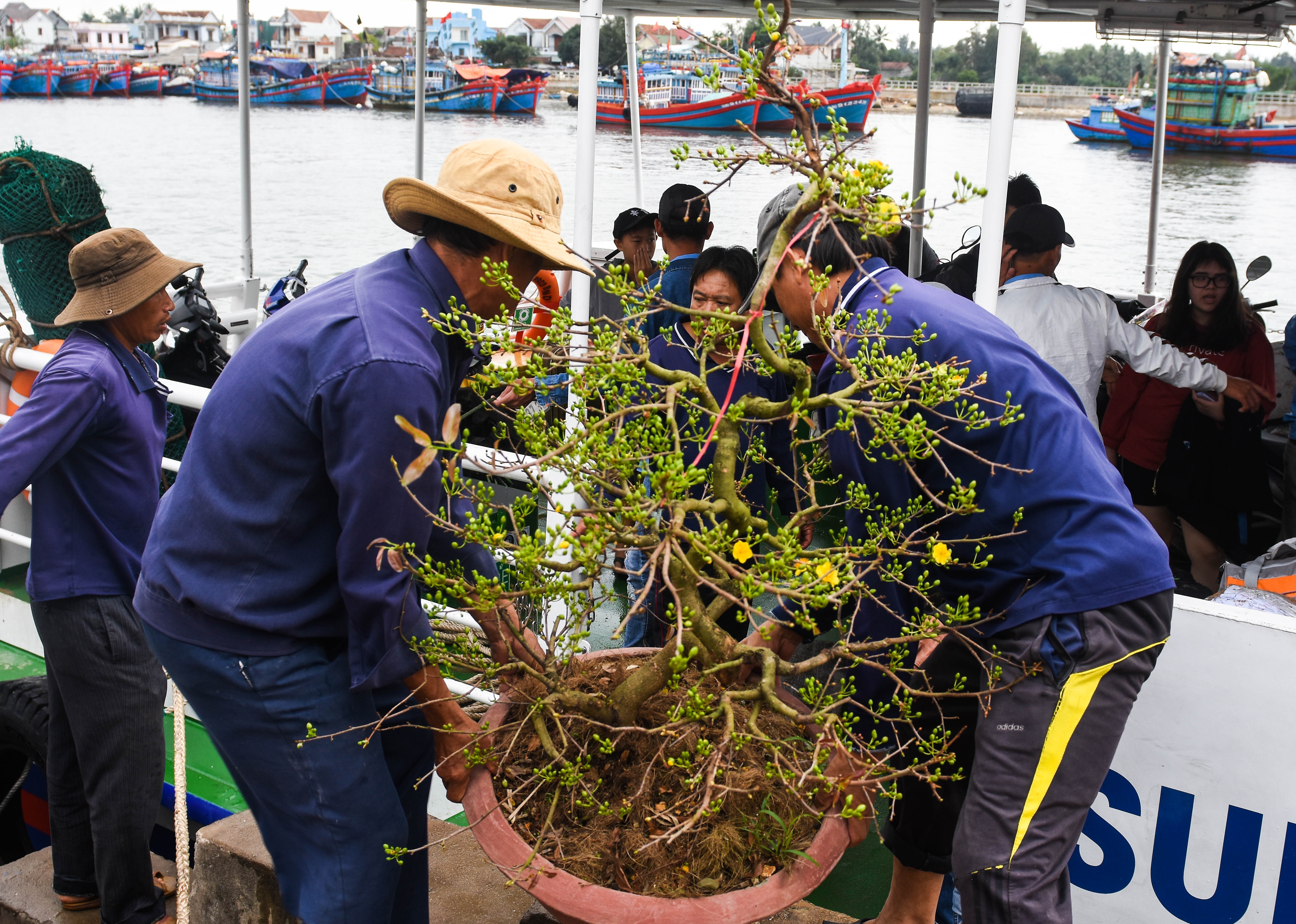 Dua mua xuan ra Ly Son anh 7