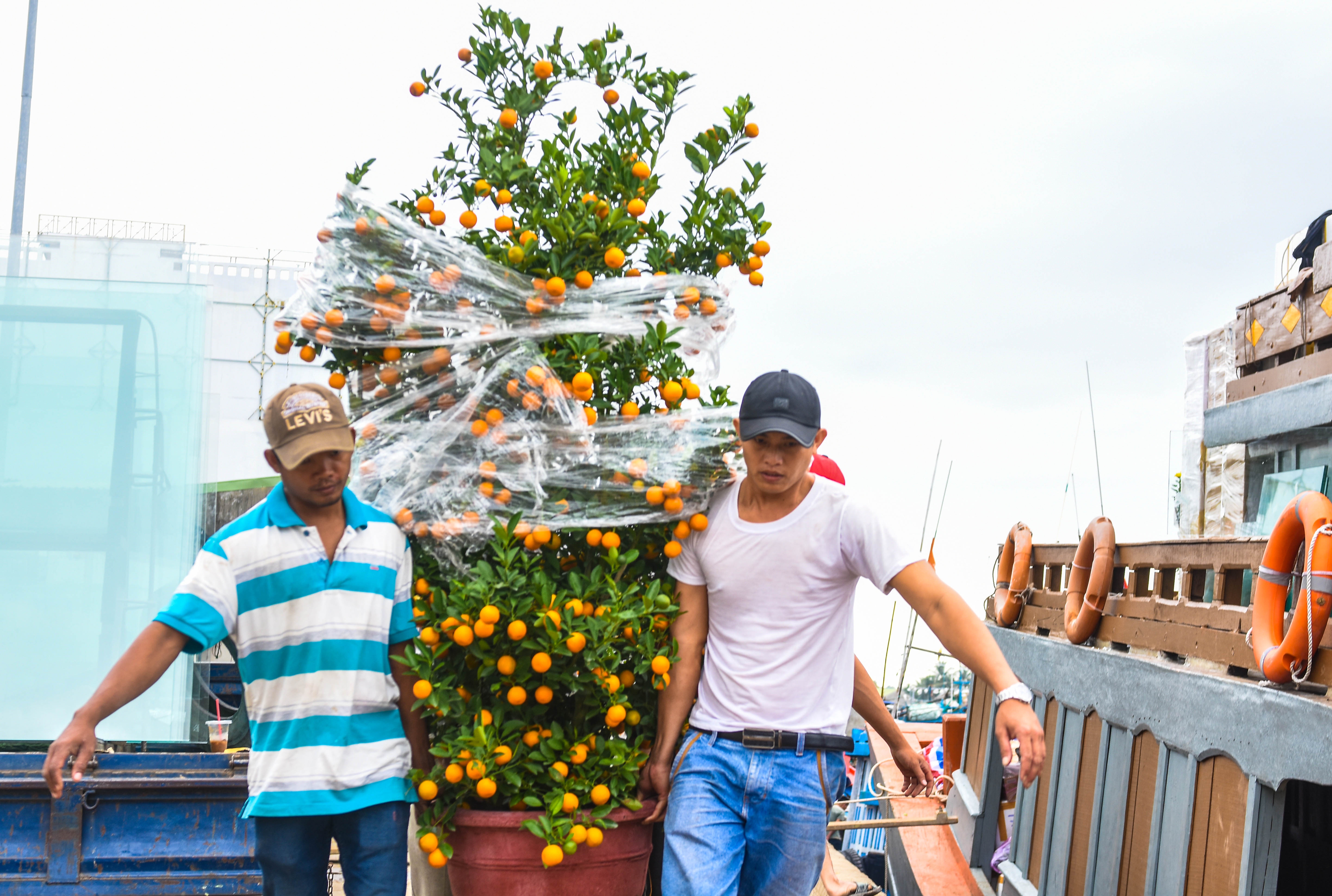 Dua mua xuan ra Ly Son anh 11