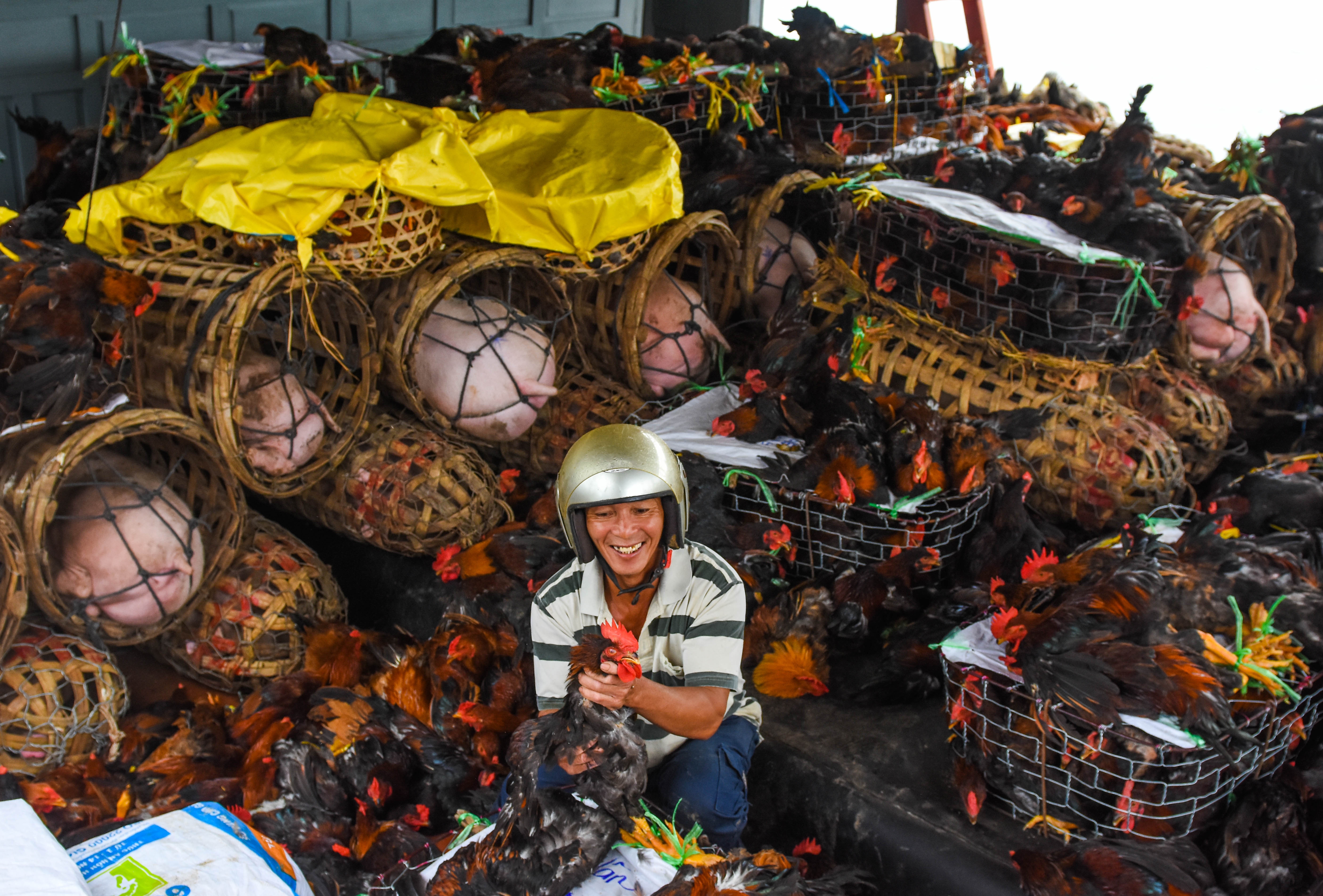 Dua mua xuan ra Ly Son anh 9