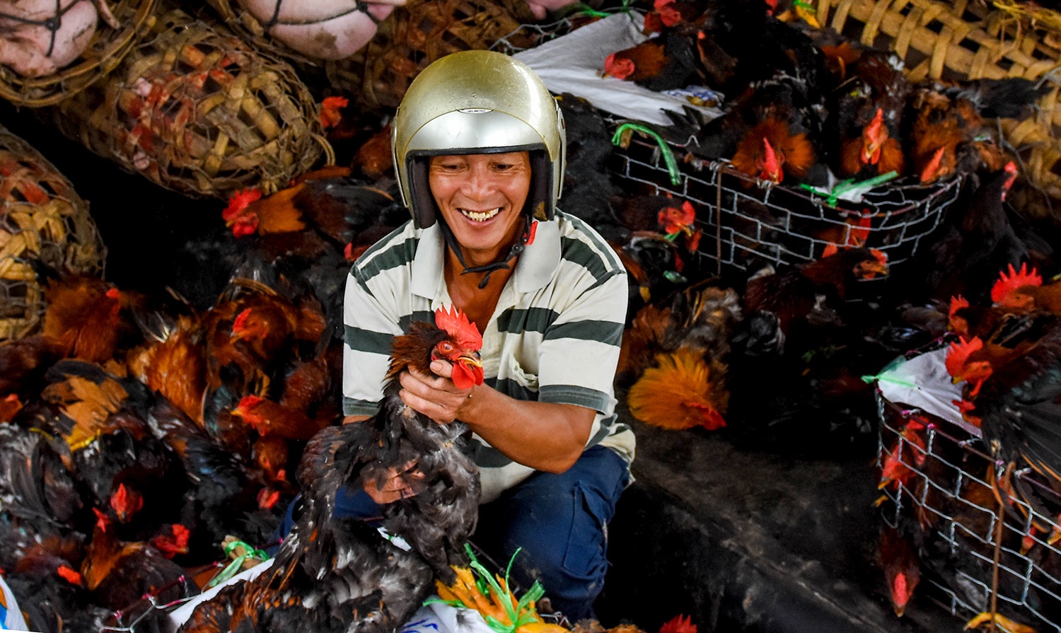 Nguoi dan, thuong lai tat vat dua hoa Tet len tau ra dao Ly Son hinh anh