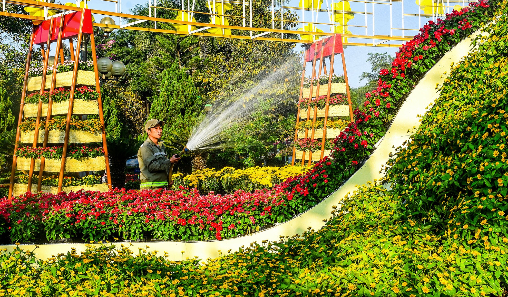 Cong vien hoa Tet Ba To Quang Ngai anh 8