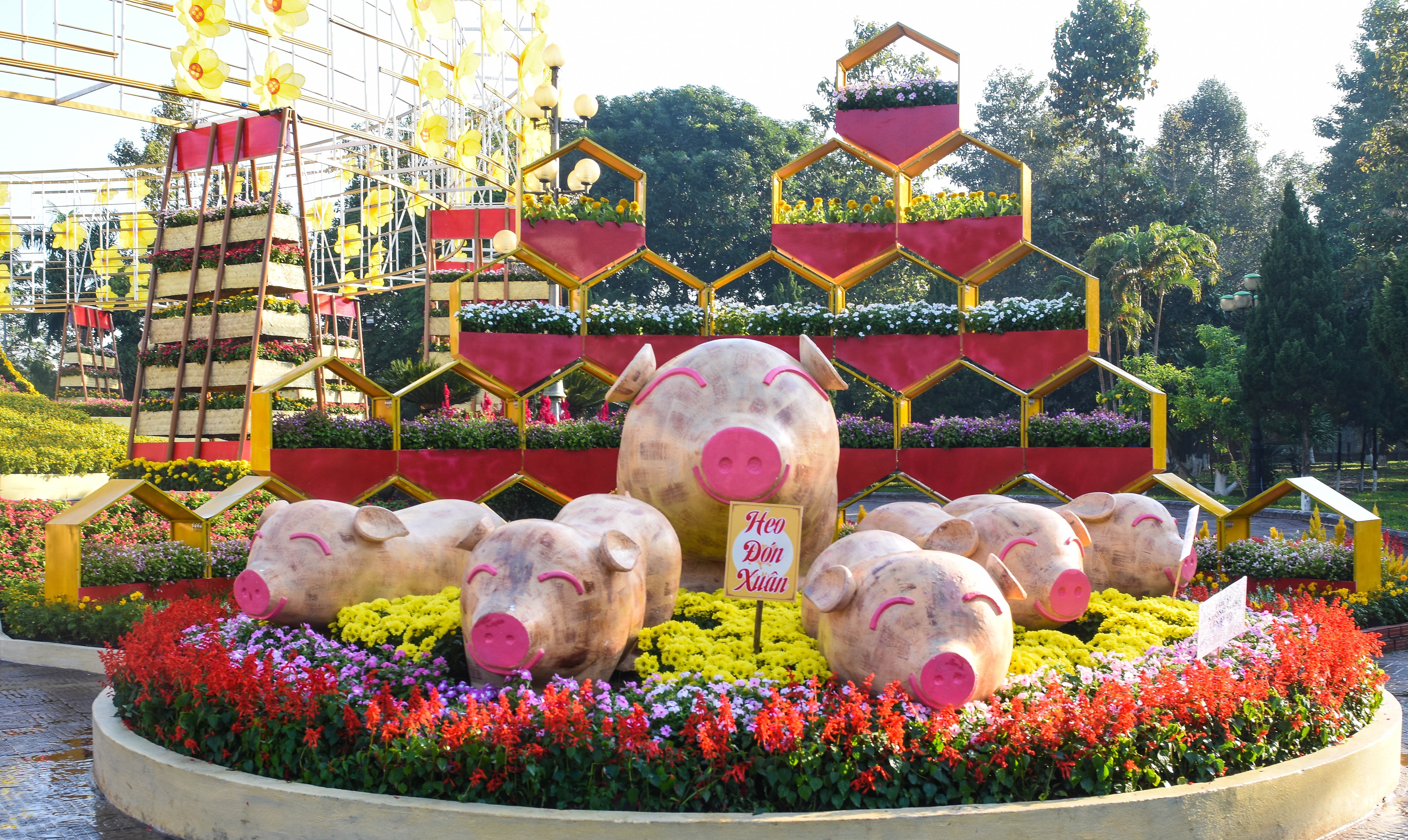 Cong vien hoa Tet Ba To Quang Ngai anh 3