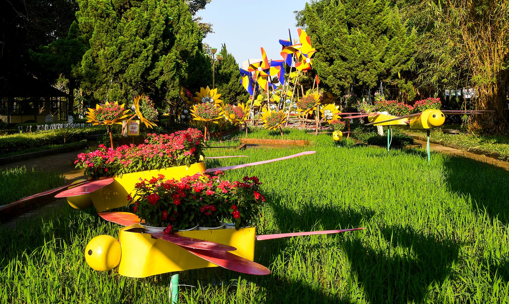 Cong vien hoa Tet Ba To Quang Ngai anh 11