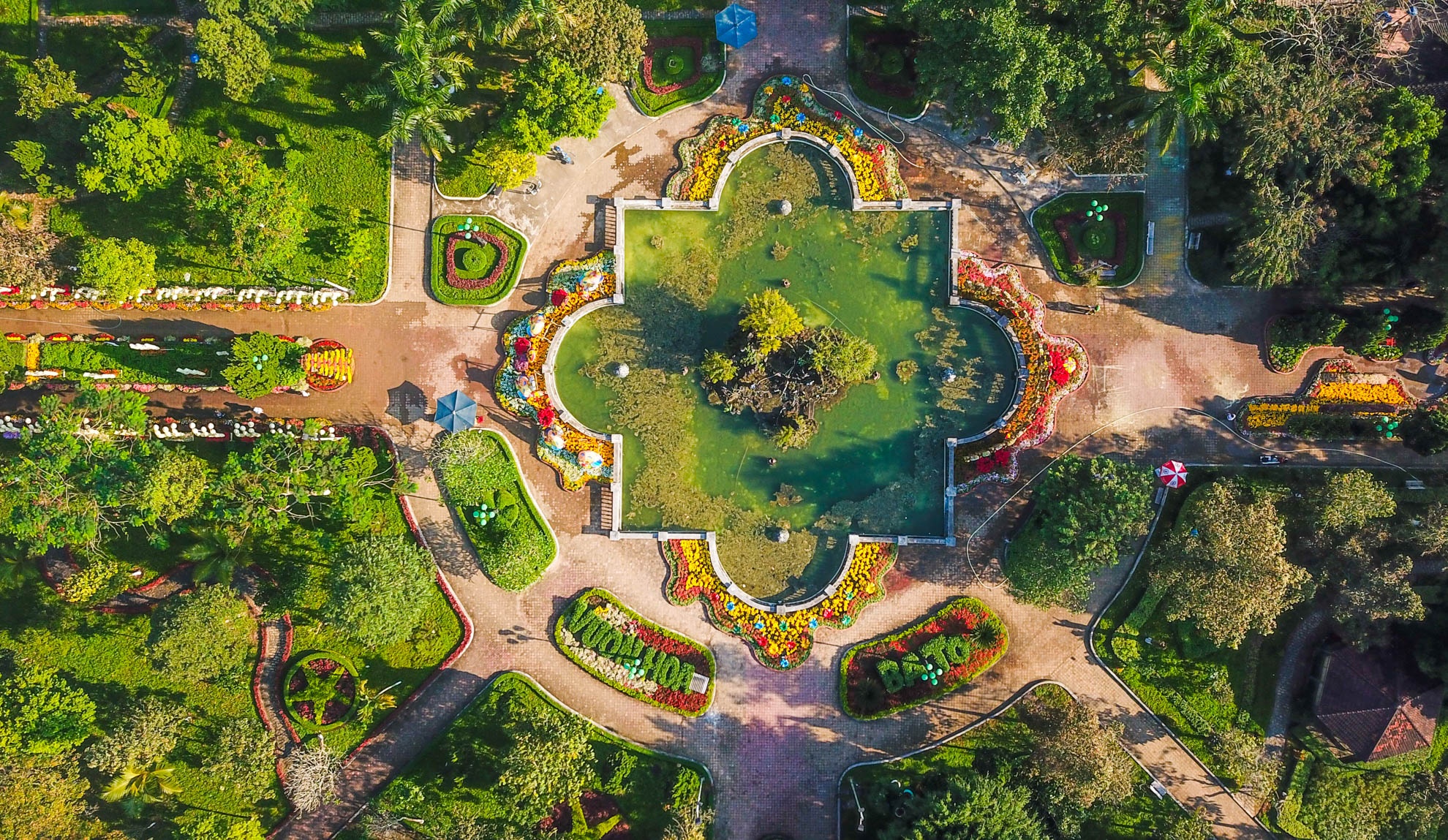 Cong vien hoa Tet Ba To Quang Ngai anh 4