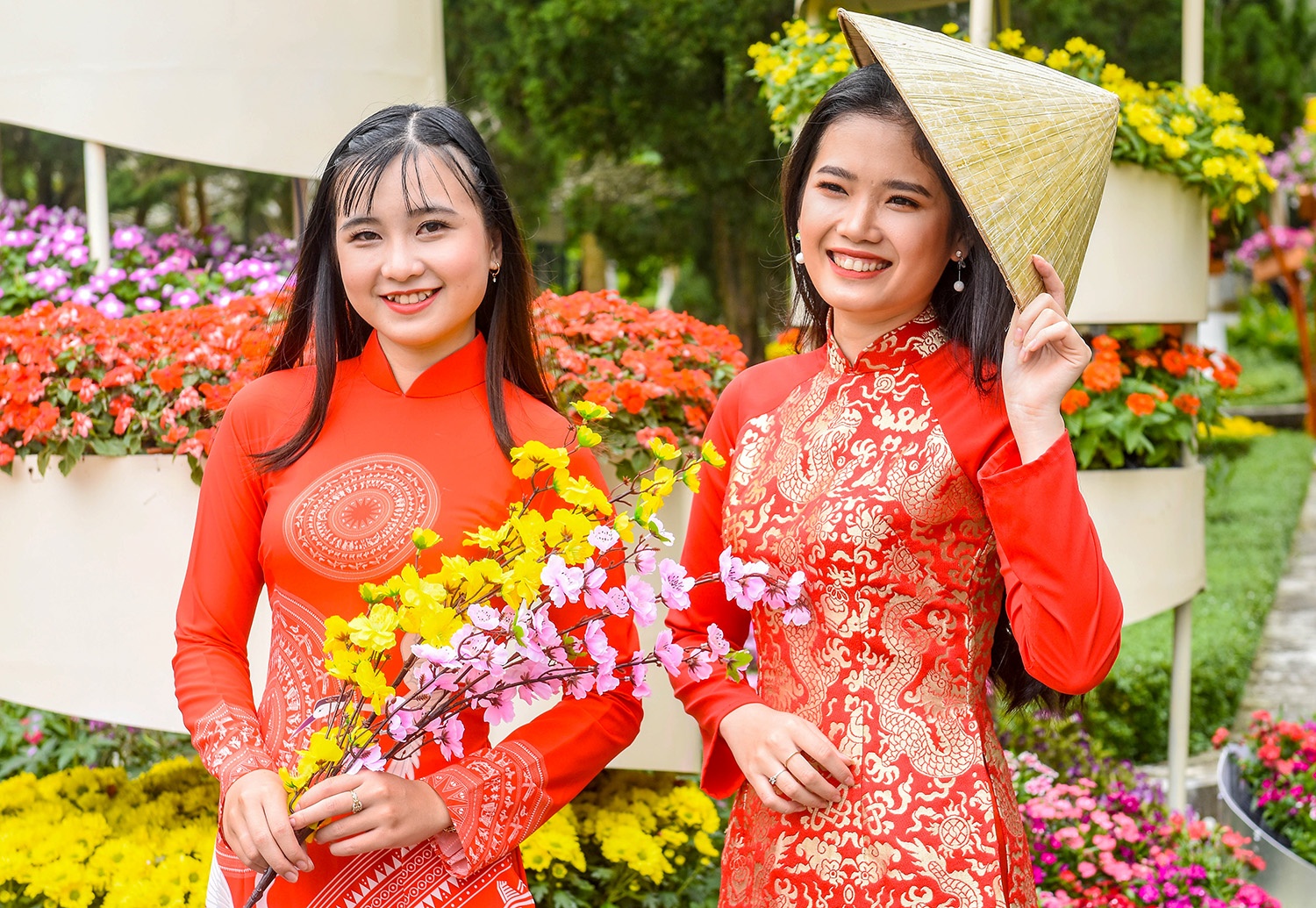 Gioi tre Quang Ngai chuc Tet o cong vien 'khat vong mua xuan' hinh anh