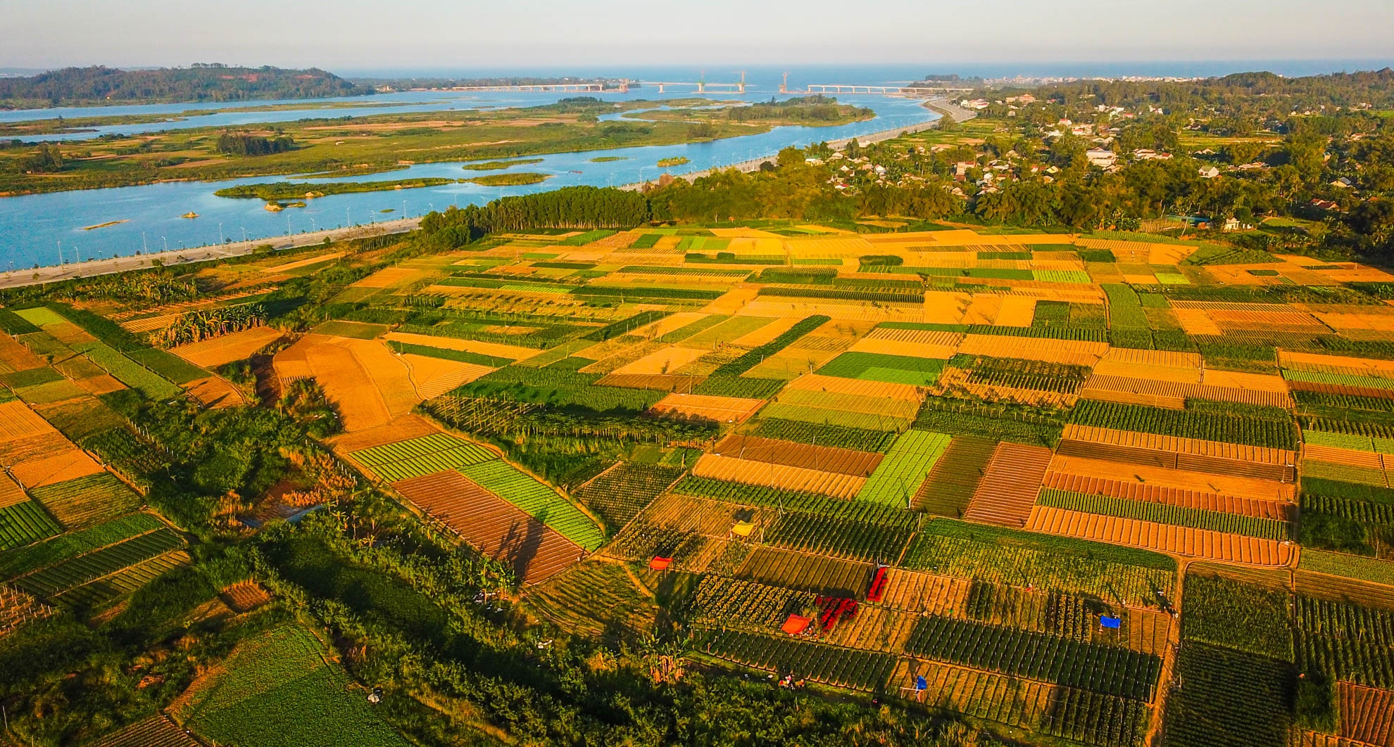 Nhon nhip lang hoa cuc ven song Tra Khuc anh 1