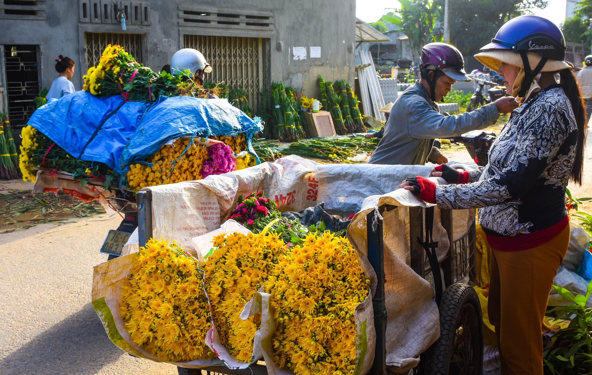 Nhon nhip lang hoa cuc ven song Tra Khuc anh 11