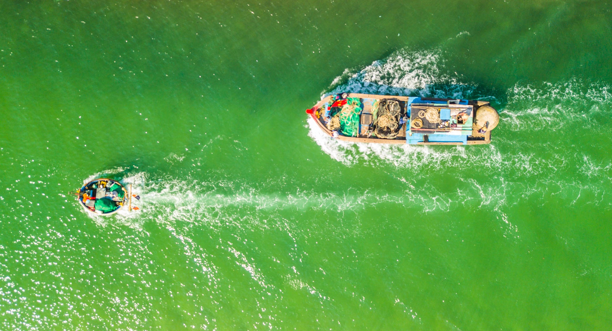 Le hoi cau ngu Sa Huynh anh 11