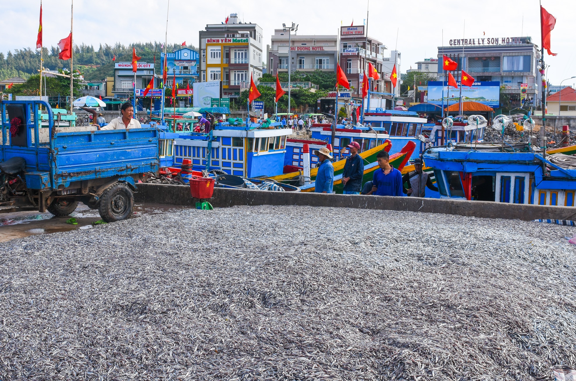 Ngu dan Quang Ngai trung ca com dau nam anh 10