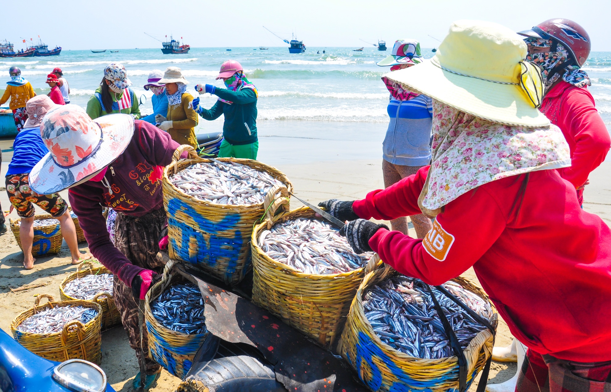 Ngu dan Quang Ngai trung ca com dau nam anh 6