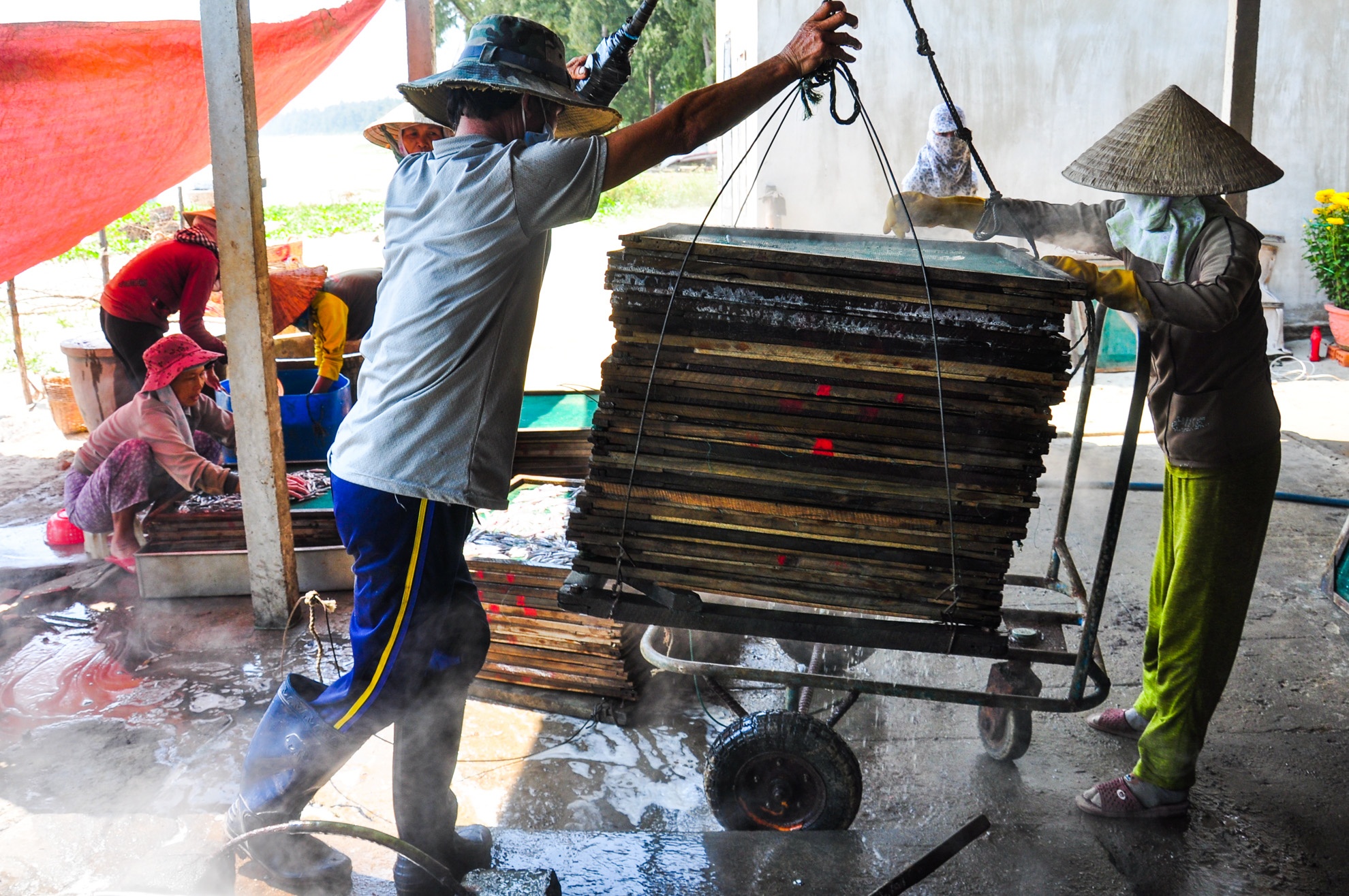 Ngu dan Quang Ngai trung ca com dau nam anh 7