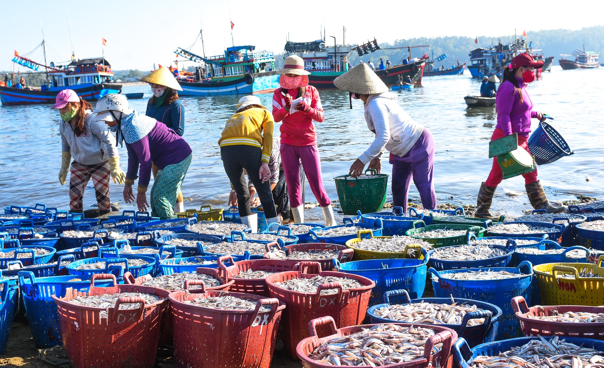 Ngu dan Quang Ngai trung ca com dau nam anh 4