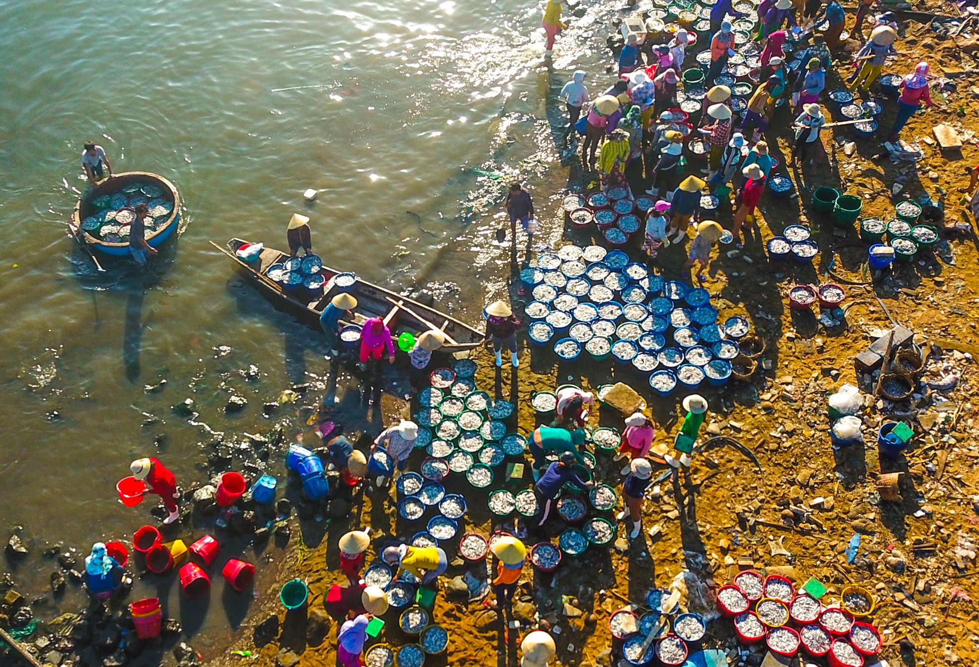 Ngu dan Quang Ngai trung ca com dau nam anh 3