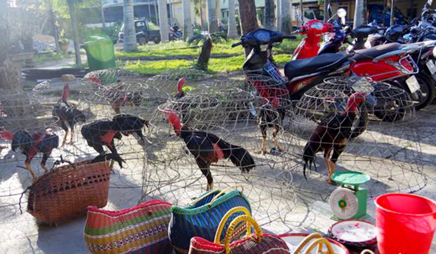 Hang chuc canh sat dot kich truong ga quy mo lon dip Tet hinh anh