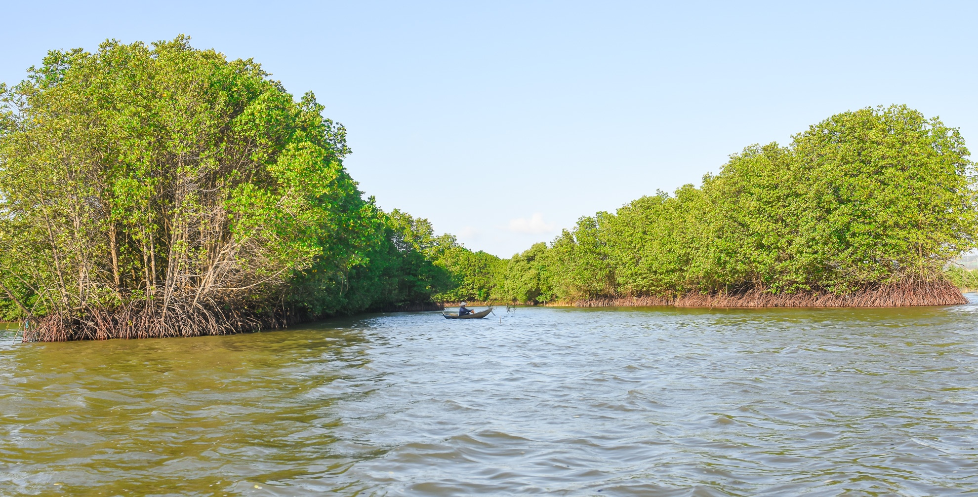 Con chim sinh thai Binh Dinh anh 4