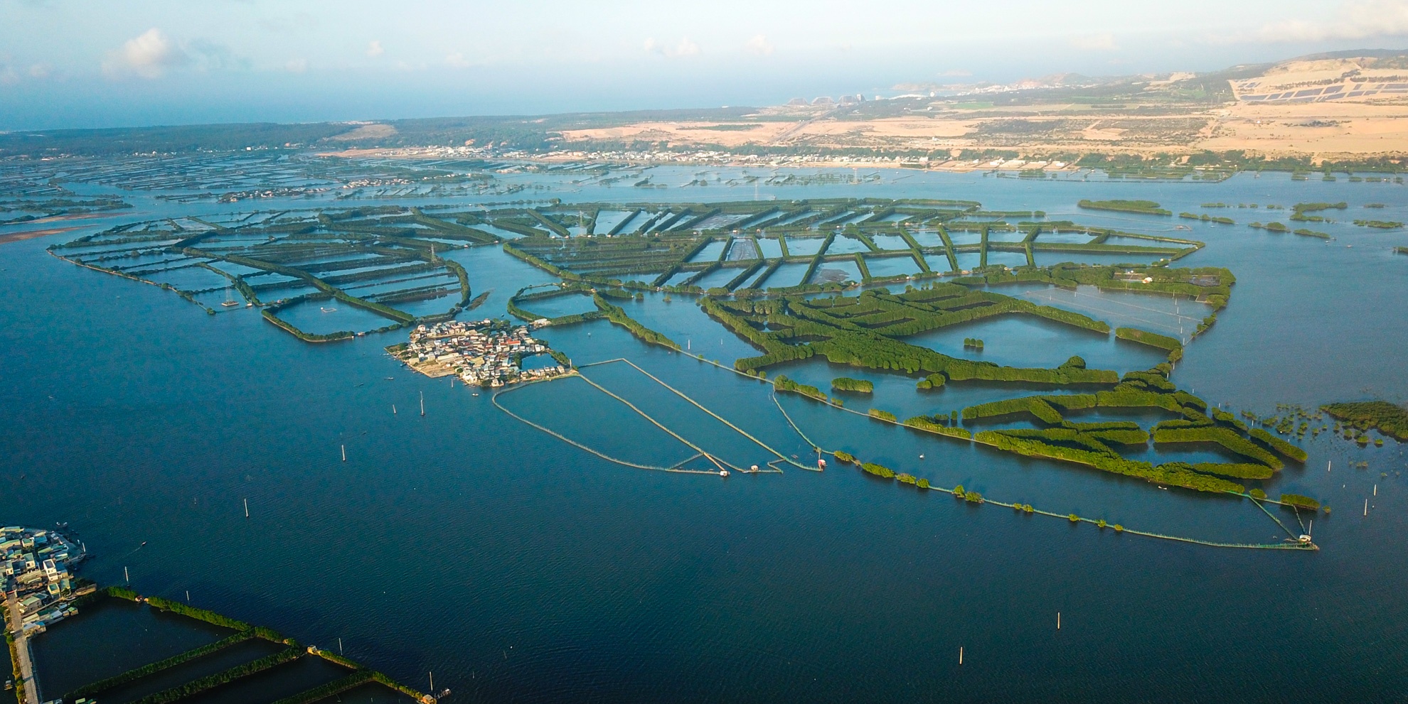 Con chim sinh thai Binh Dinh anh 1